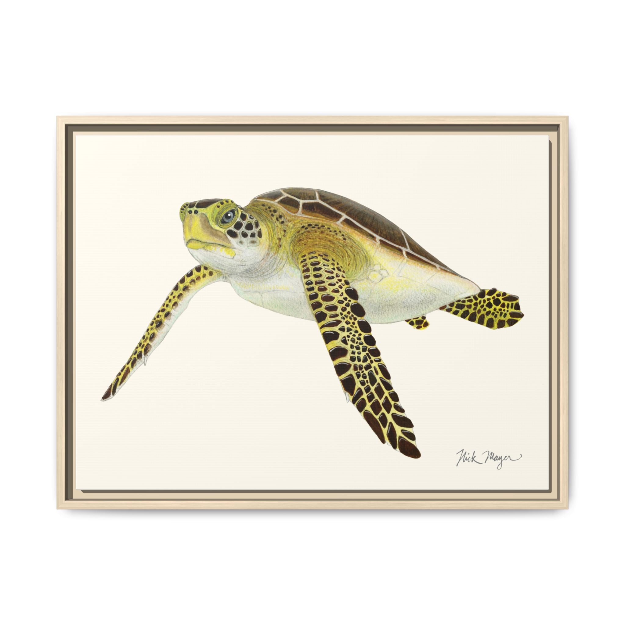 Green Sea Turtle III Framed Canvas Print Printify