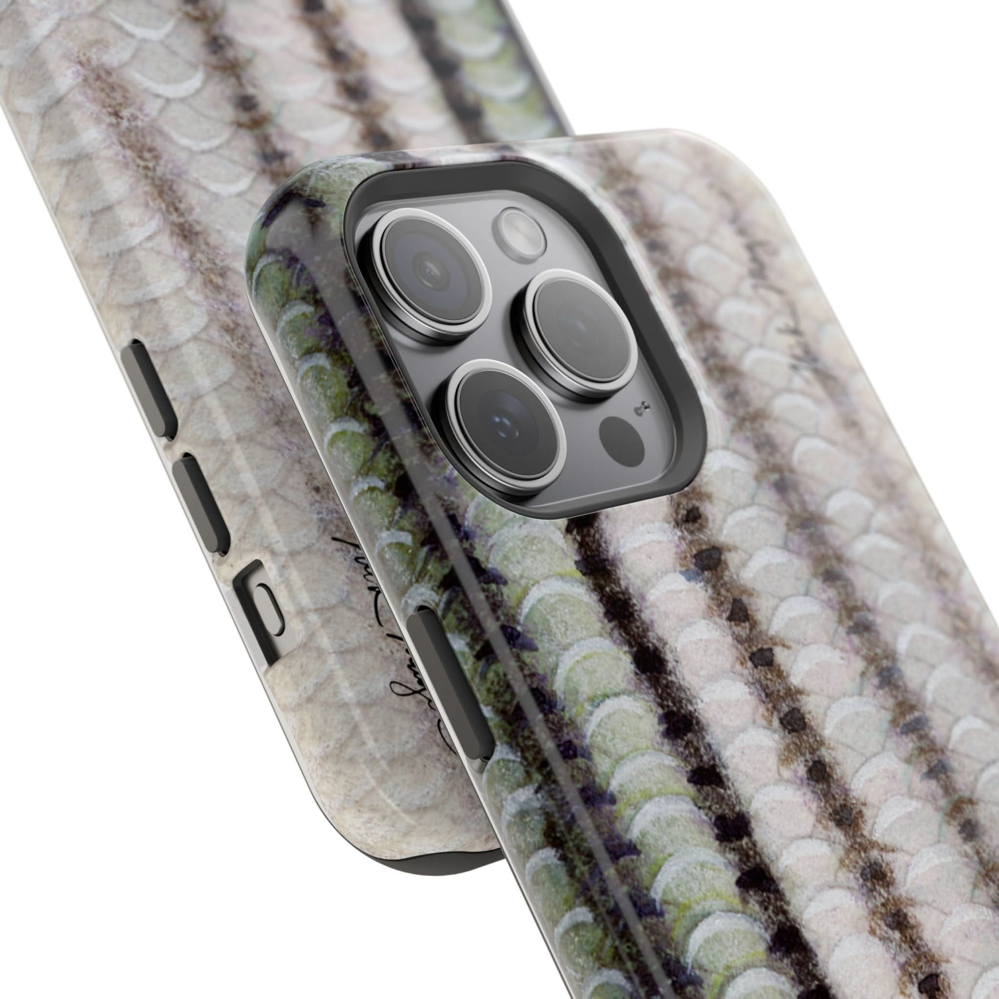 Striper Skin MagSafe iPhone Case
