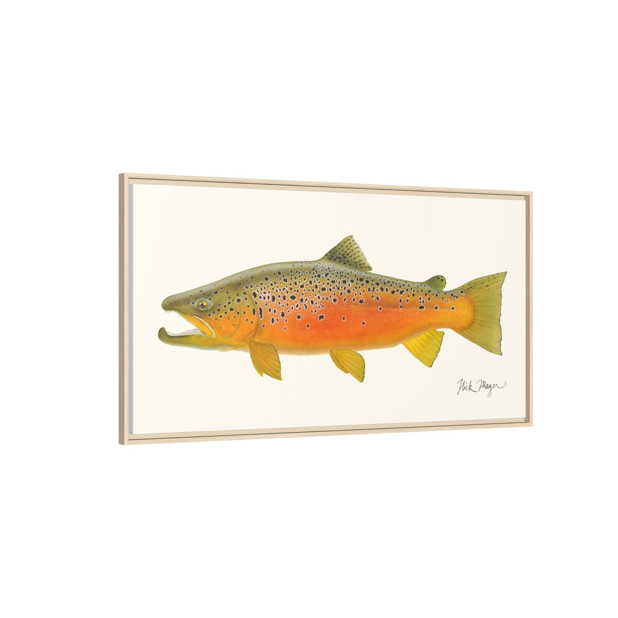 Brown Trout II Framed Canvas Print Printify