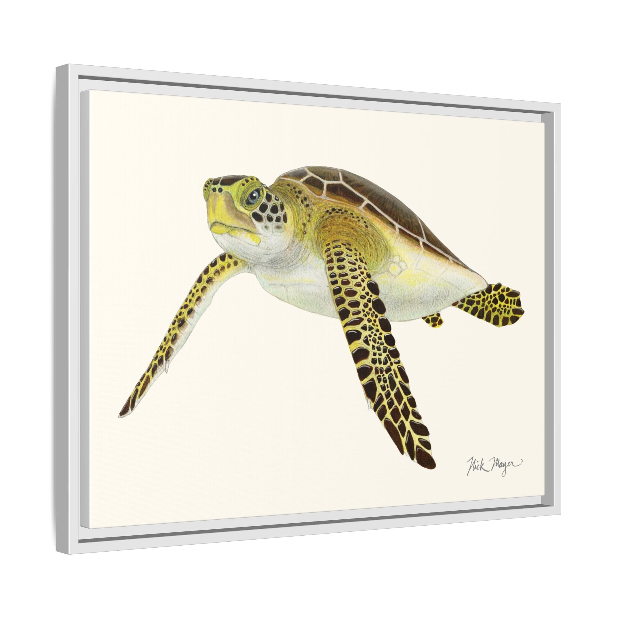 Green Sea Turtle III Framed Canvas Print Printify