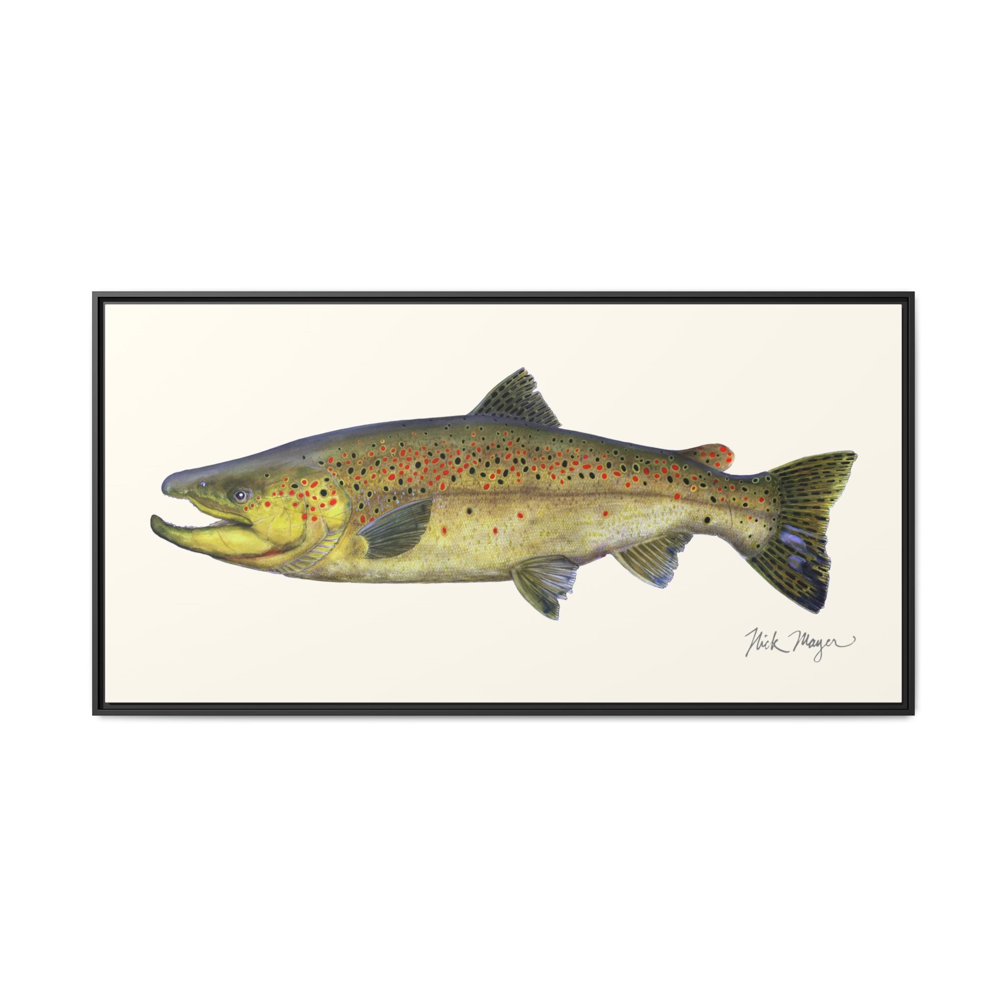 Brown Trout I Framed Canvas Print Printify