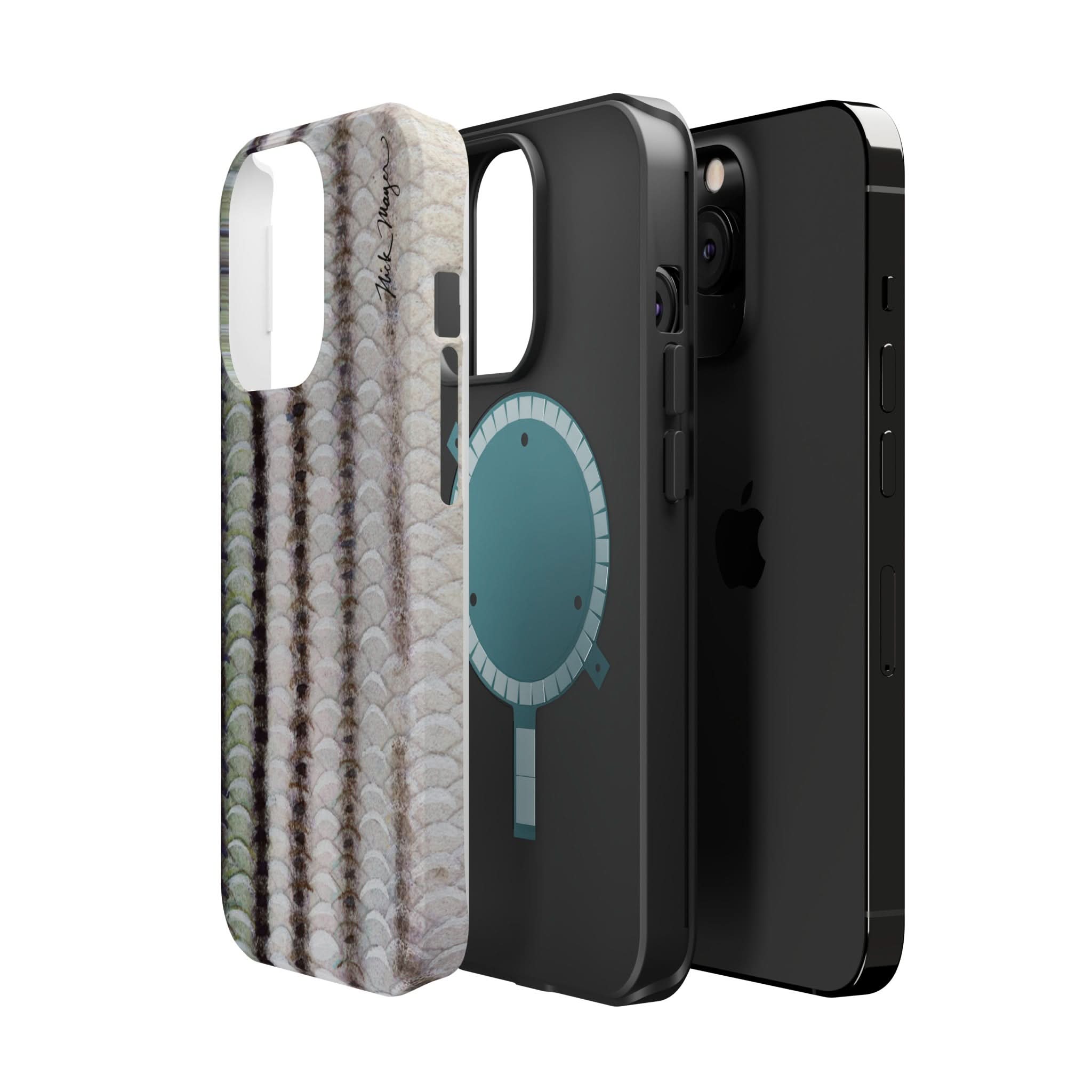 Striper Skin MagSafe iPhone Case