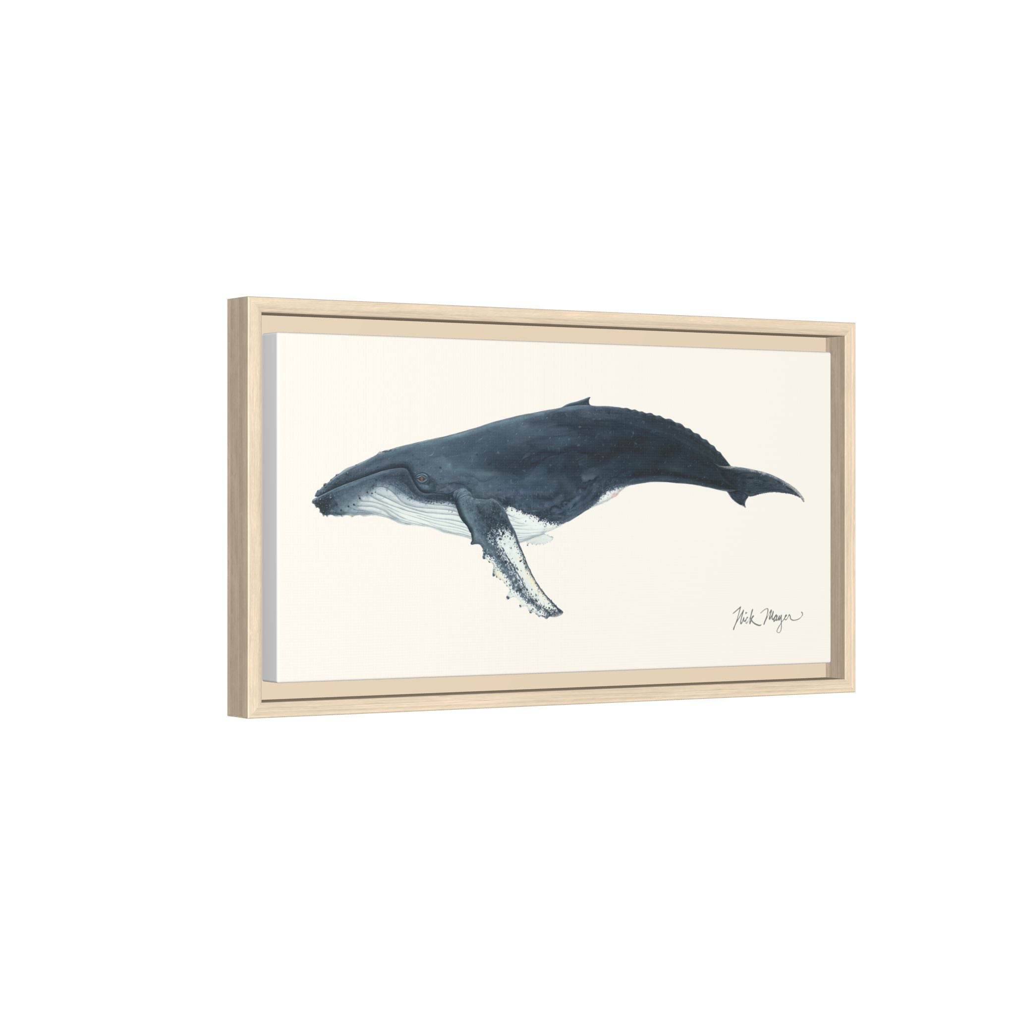 Humpback Whale Framed Canvas Print Printify