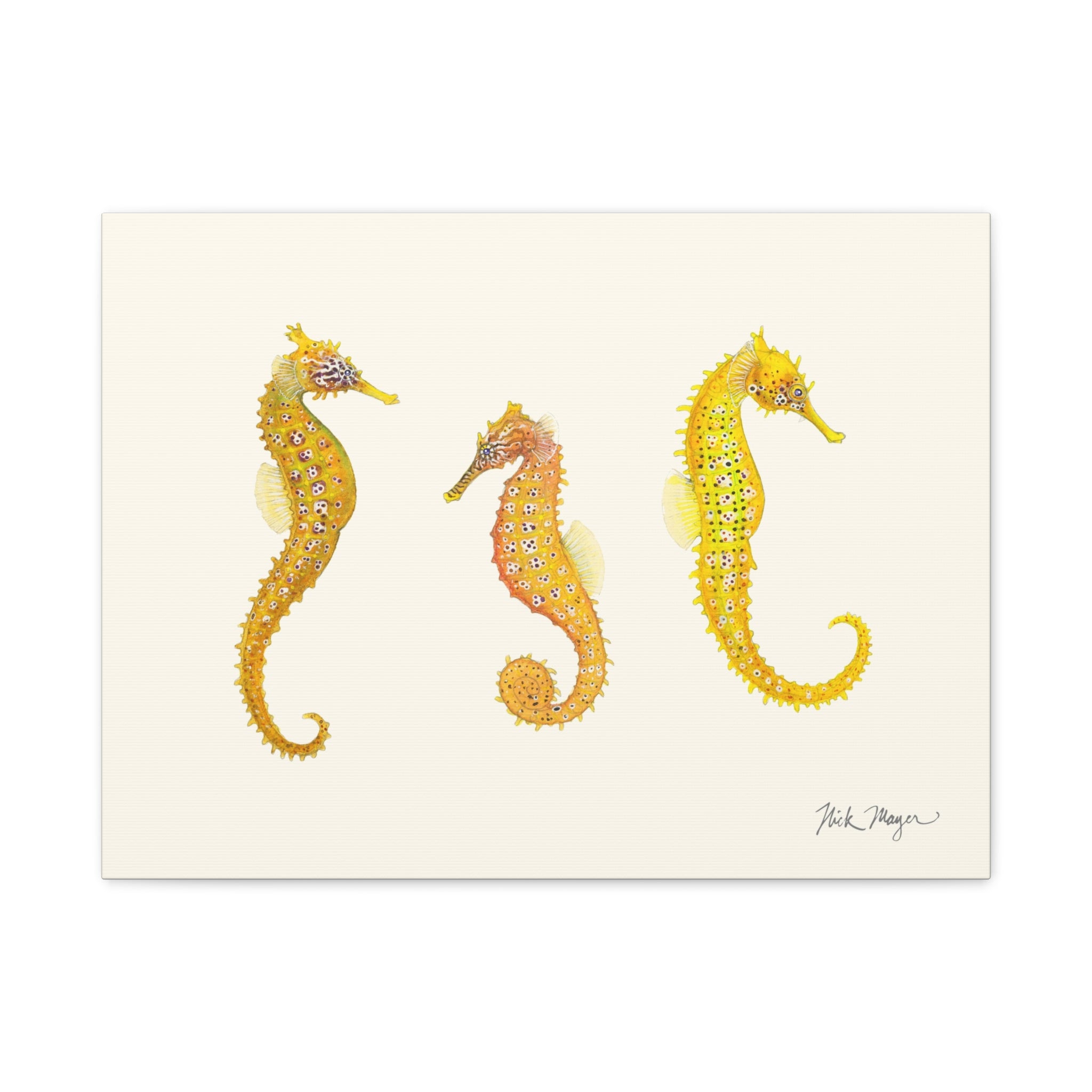 Giant Seahorse Trio Canvas Print