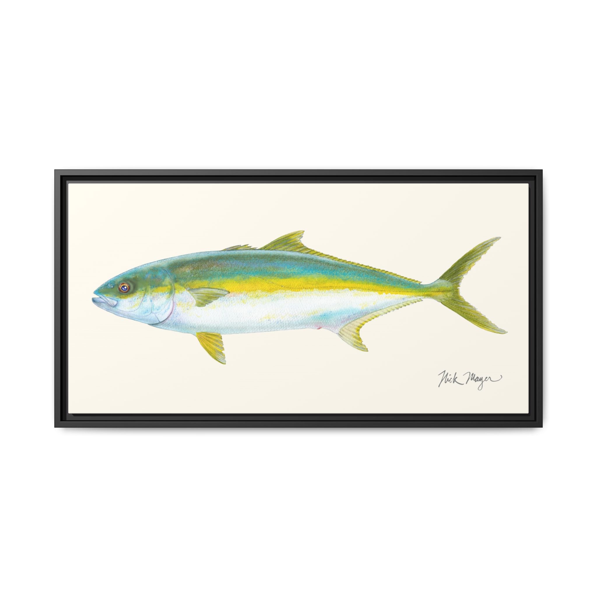 California Yellowtail I Framed Canvas Print Printify