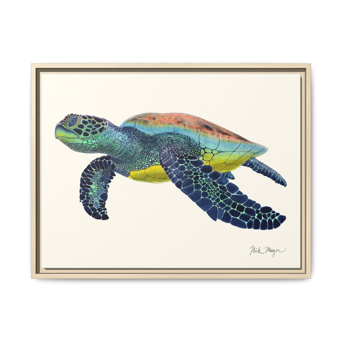 Green Sea Turtle II Framed Canvas Print Printify