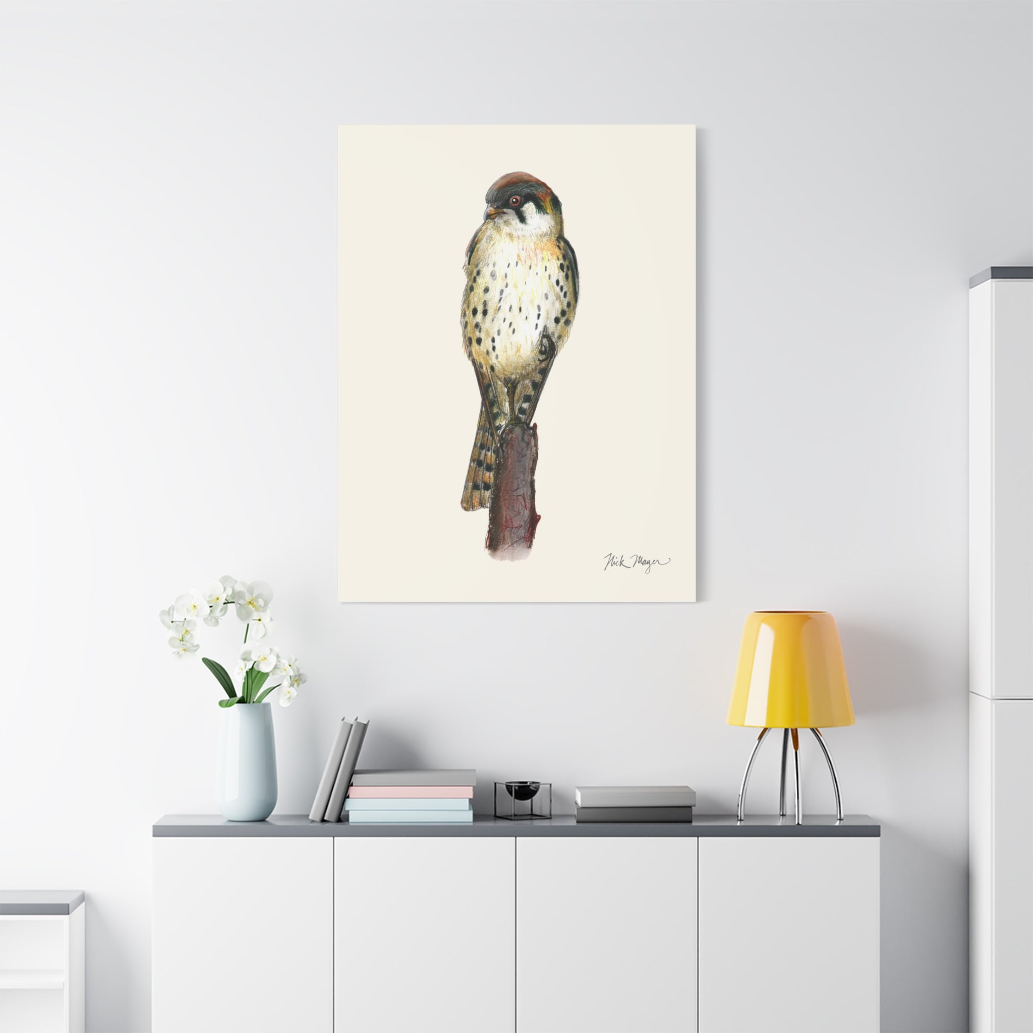 American Kestrel Canvas Print