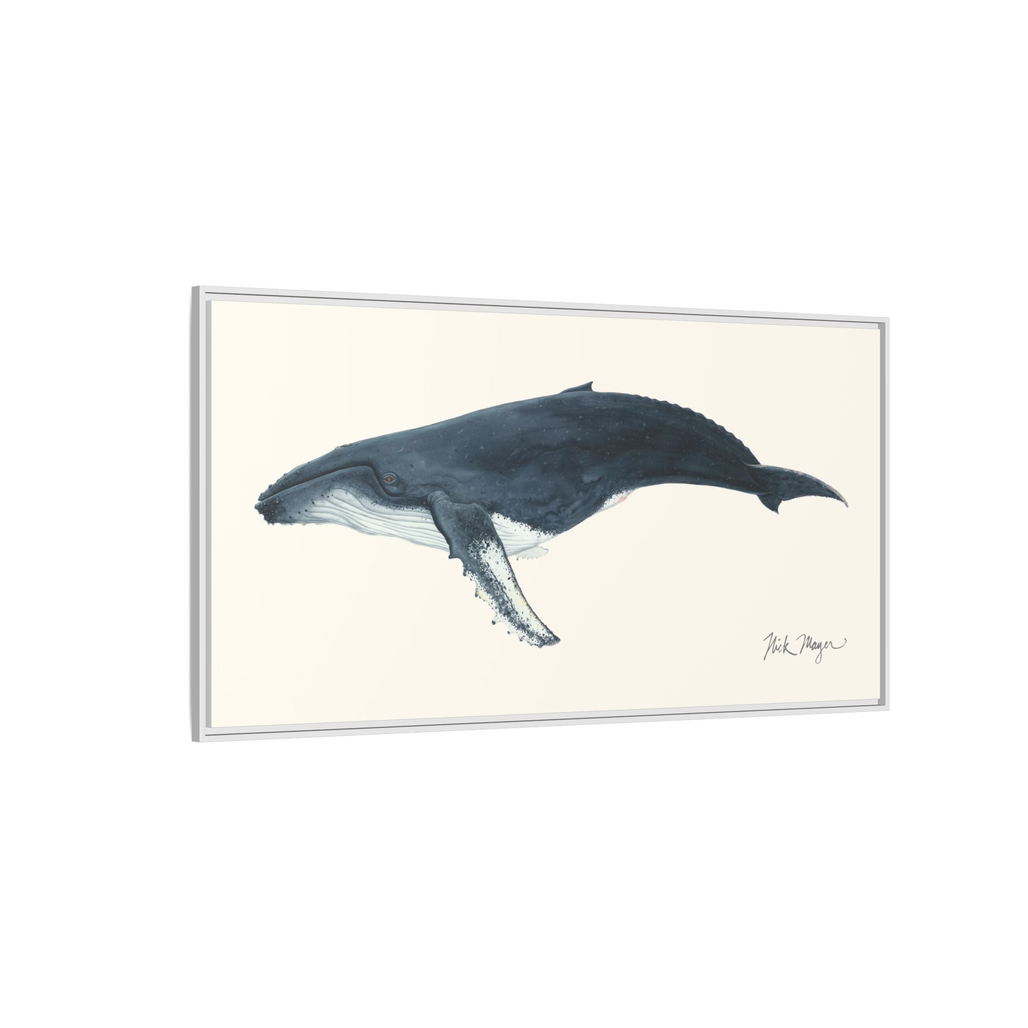 Humpback Whale Framed Canvas Print Printify