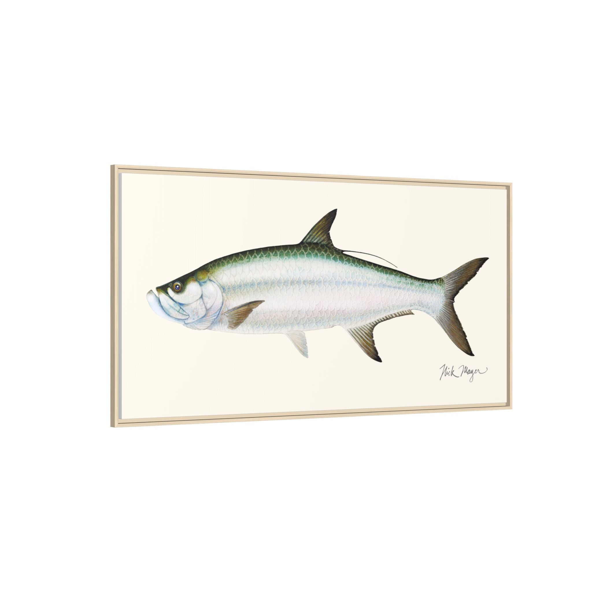 Tarpon Framed Canvas Print Printify