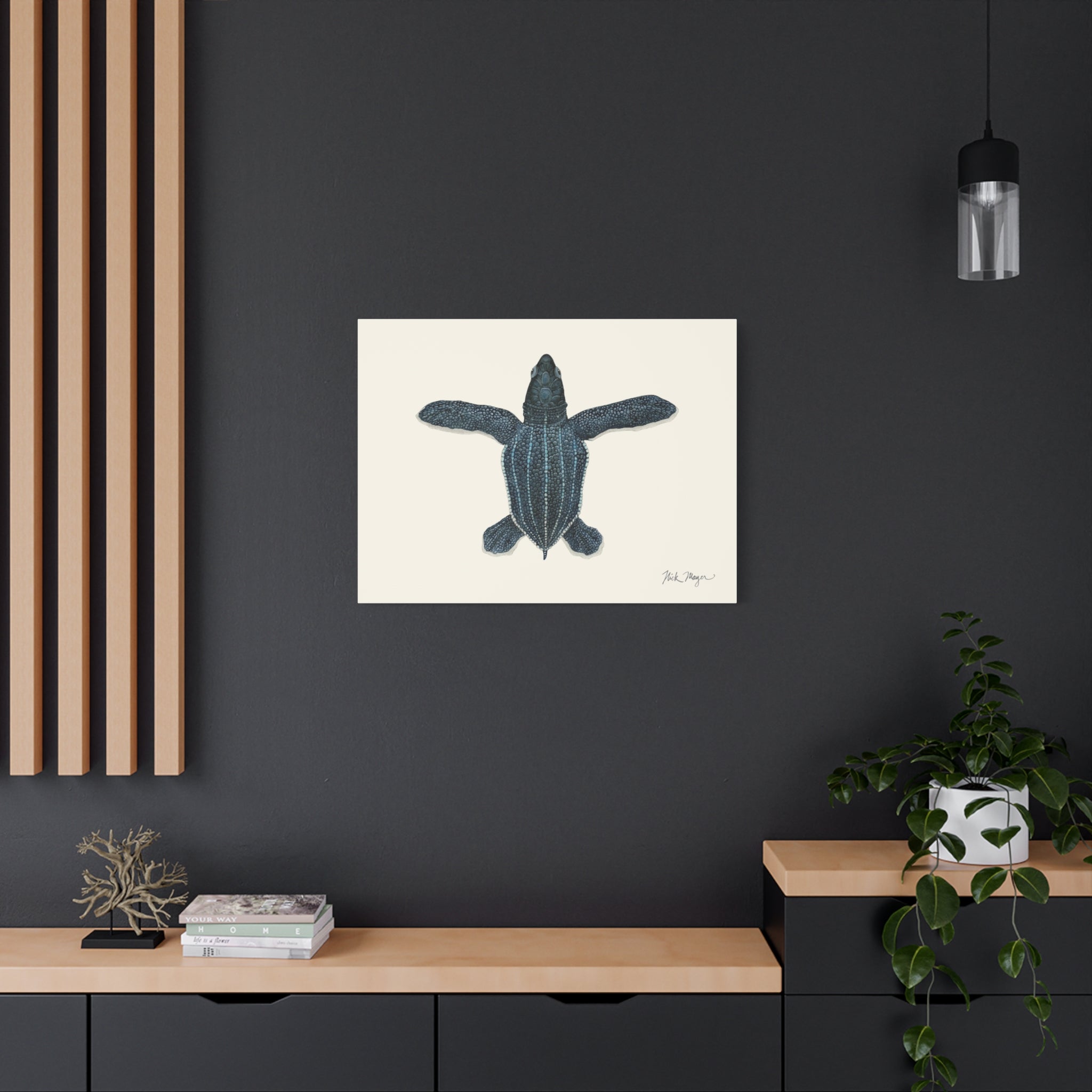Hatchling Leatherback Sea Turtle Canvas Print