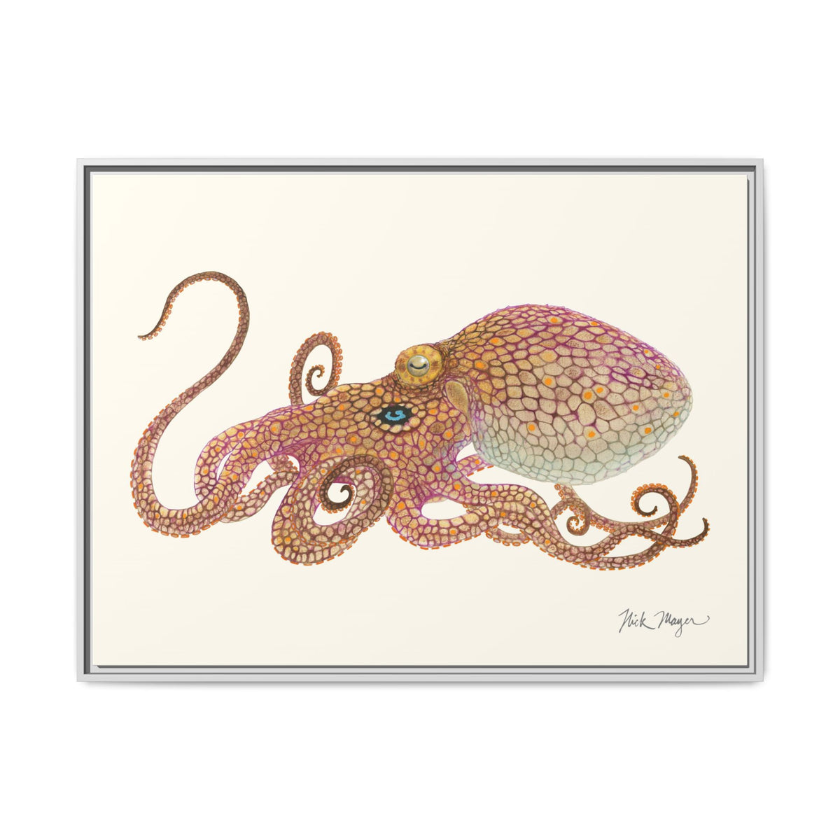 Two Spot Octopus Framed Canvas Print Printify