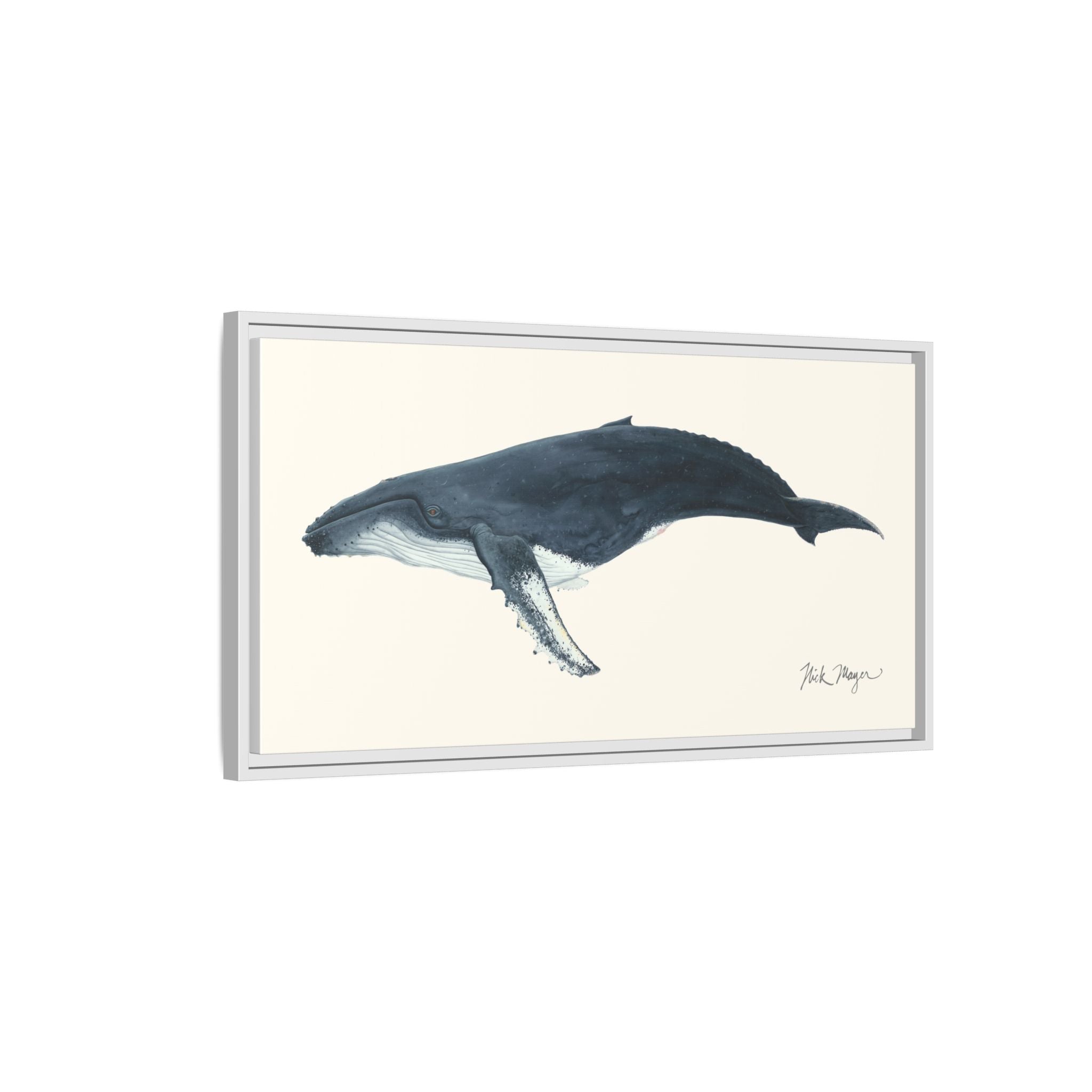 Humpback Whale Framed Canvas Print Printify