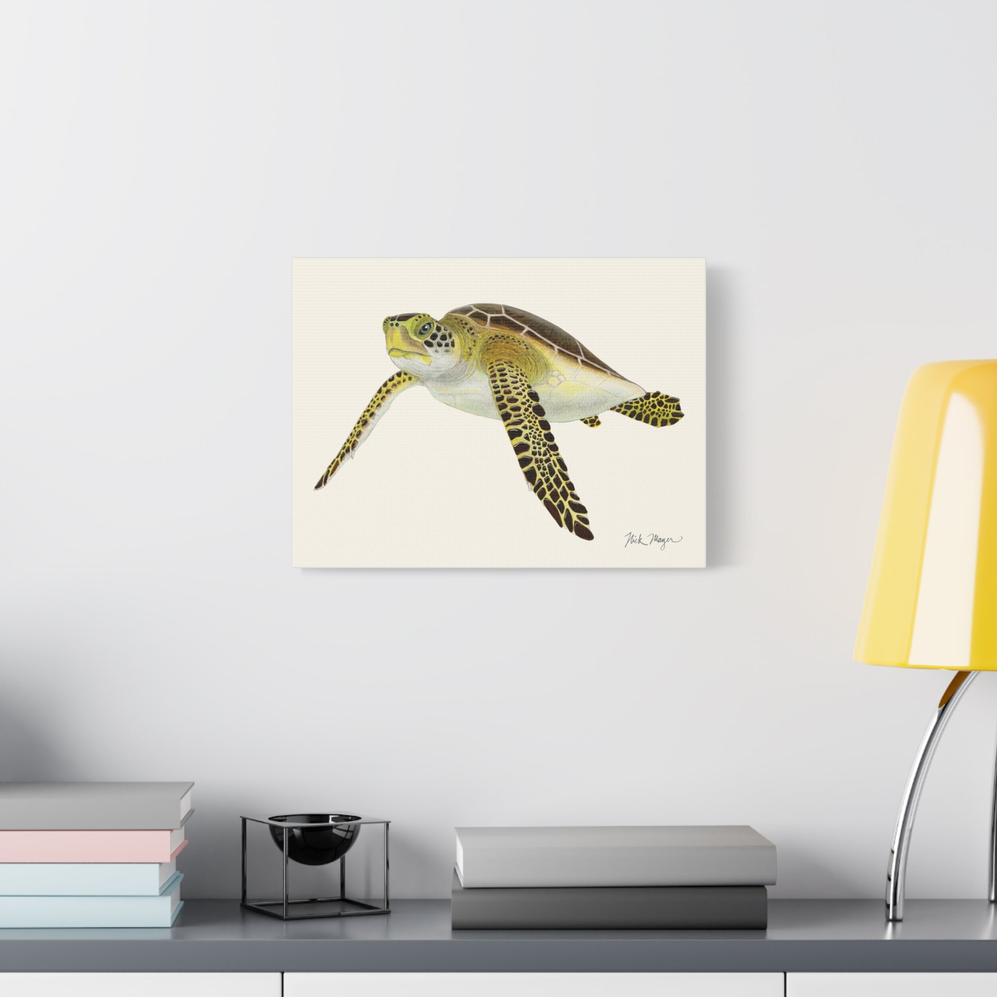 Juvenile Green Sea Turtle III Canvas Print