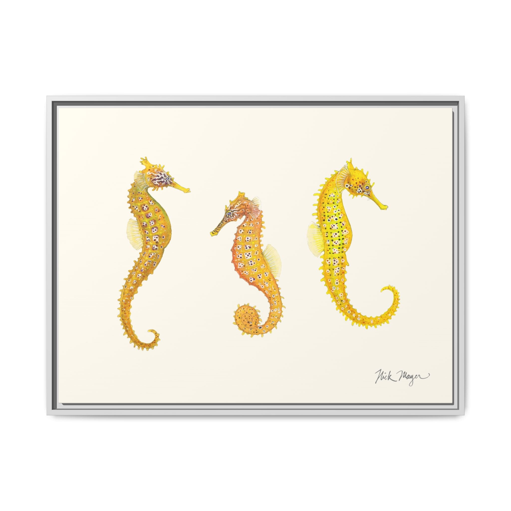 Giant Seahorse Trio Framed Canvas Print Printify