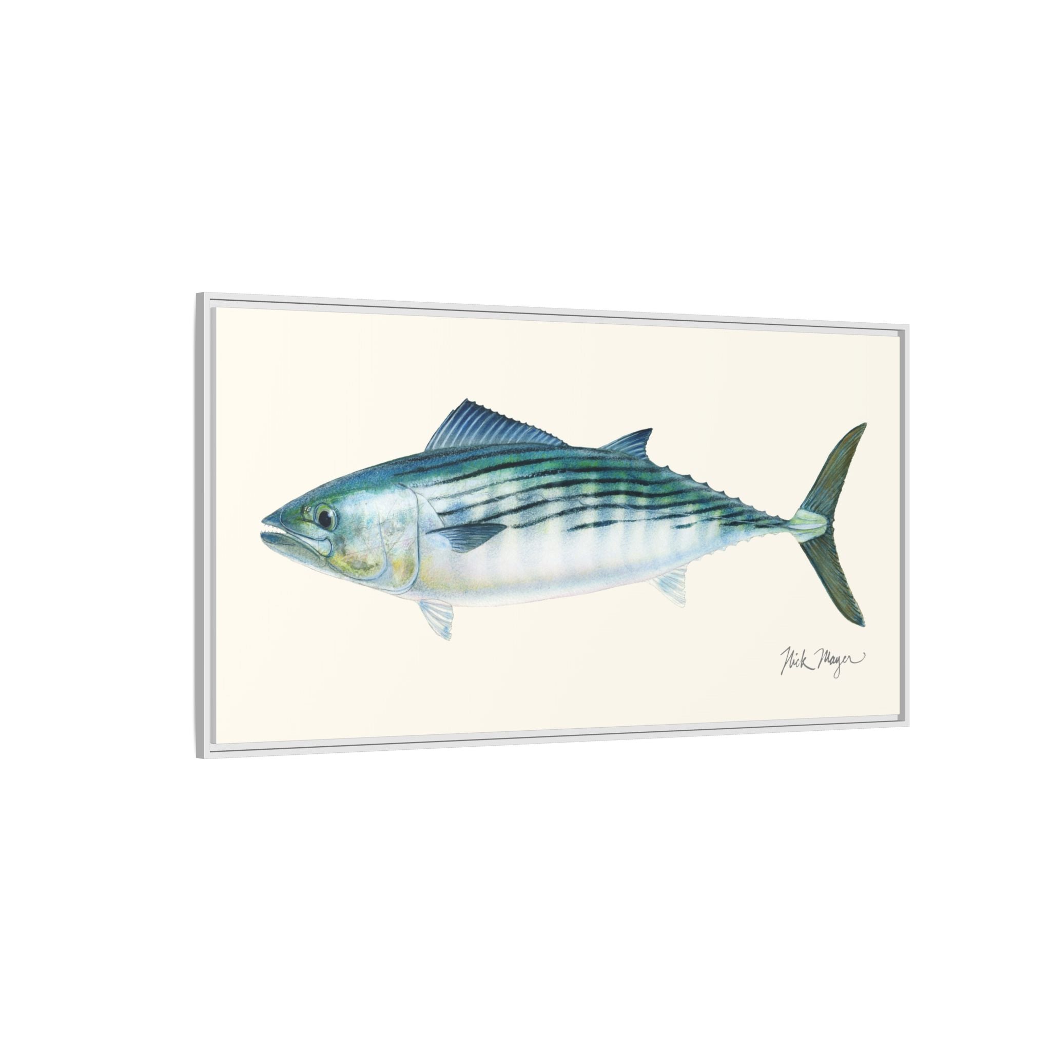 Bonito Framed Canvas Print Printify