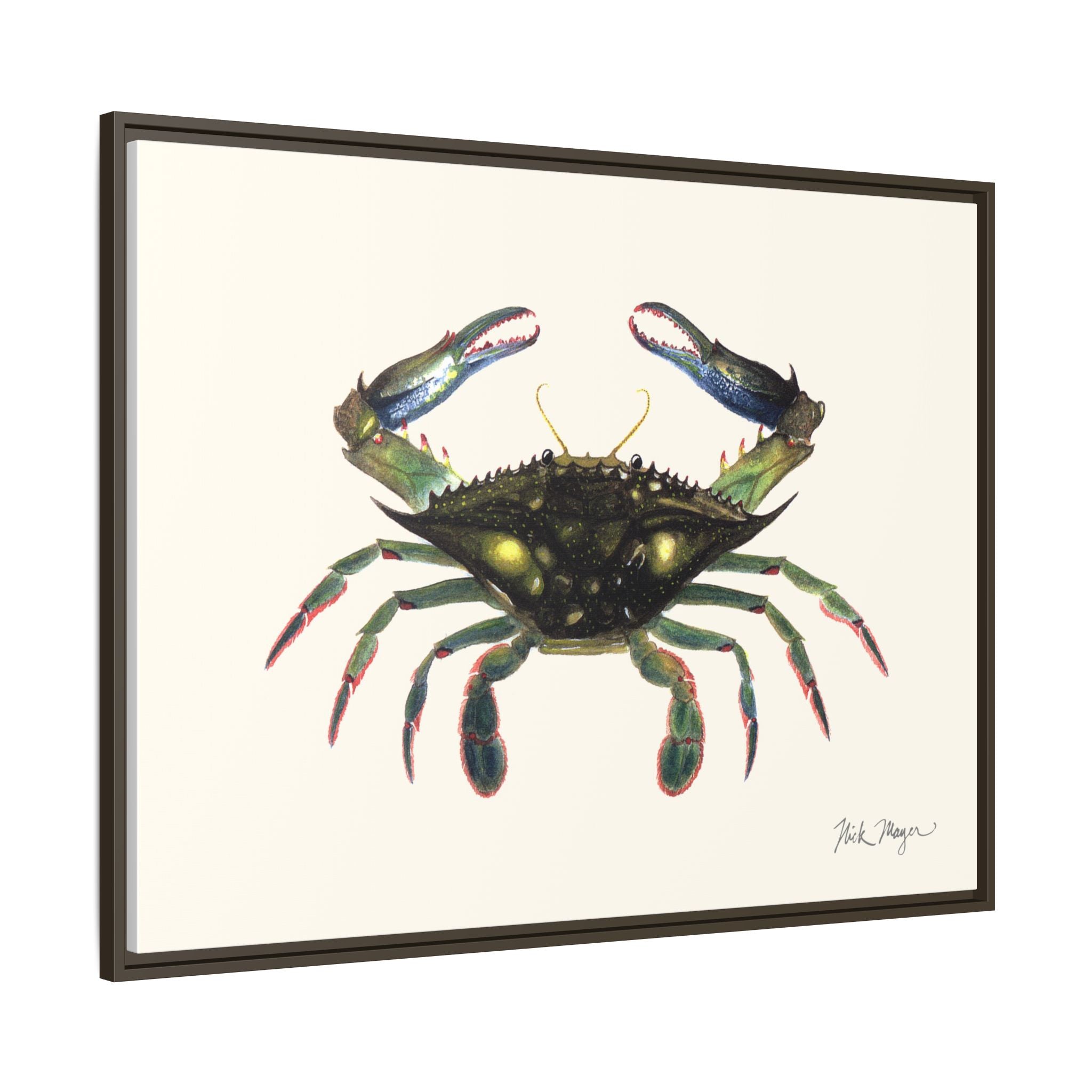 Blue Crab, Claws in Framed Canvas Print Printify