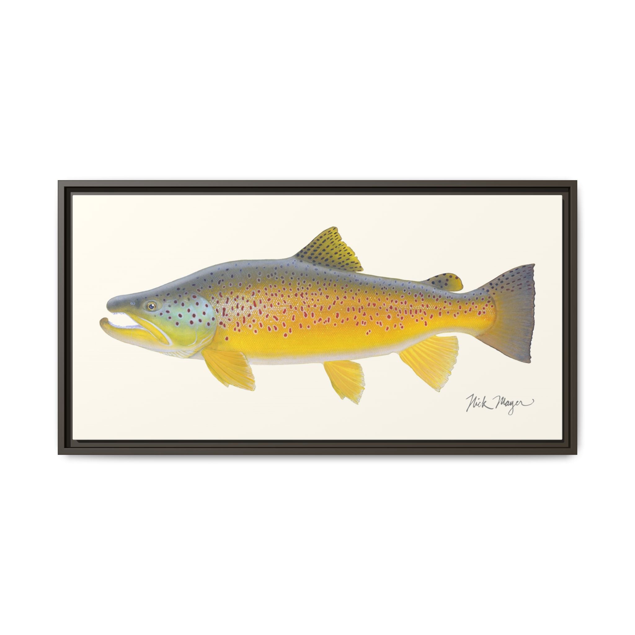 Brown Trout III Framed Canvas Print Printify