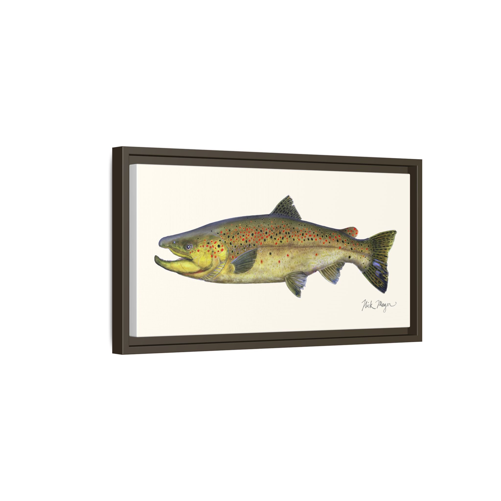 Brown Trout I Framed Canvas Print Printify
