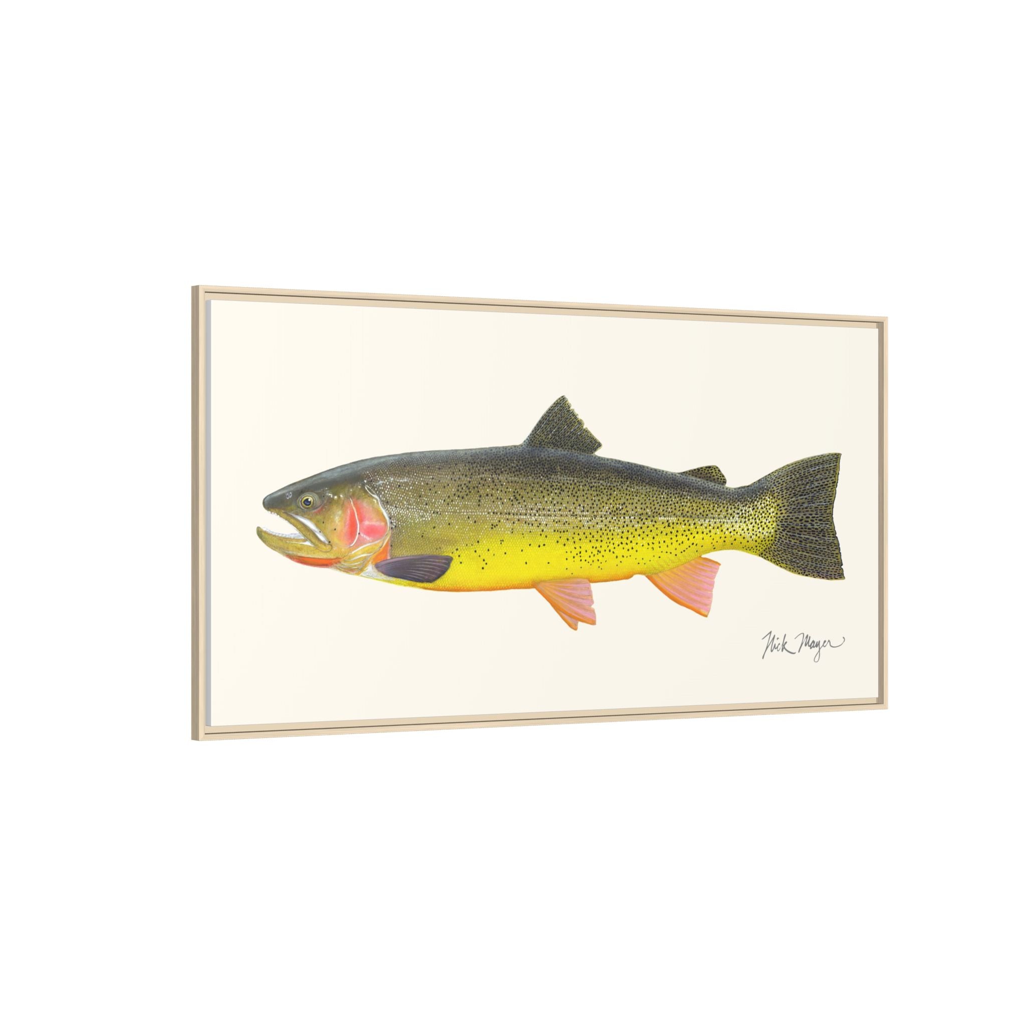 Cutthroat Trout III Framed Canvas Print Printify
