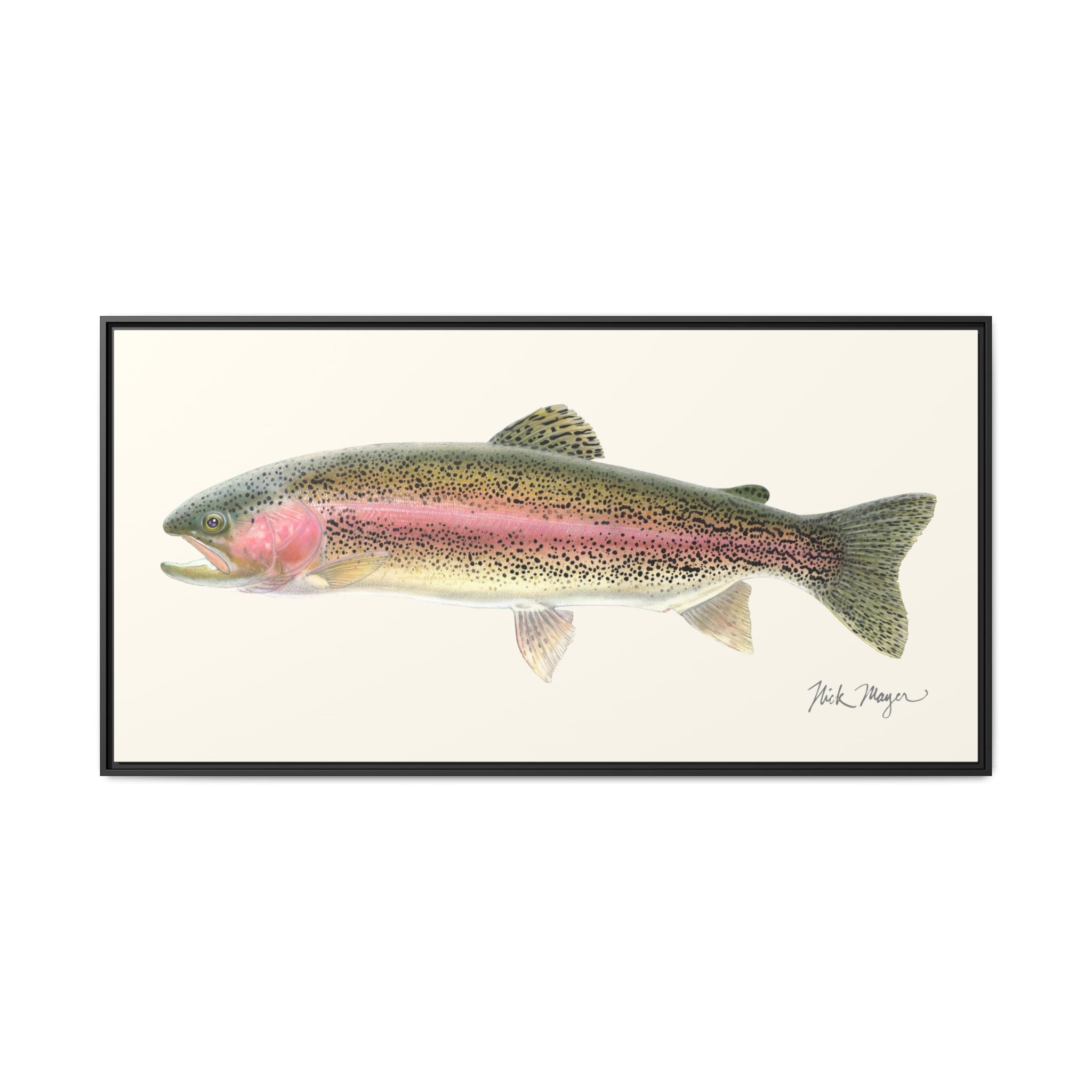 Rainbow Trout Framed Canvas Print Printify