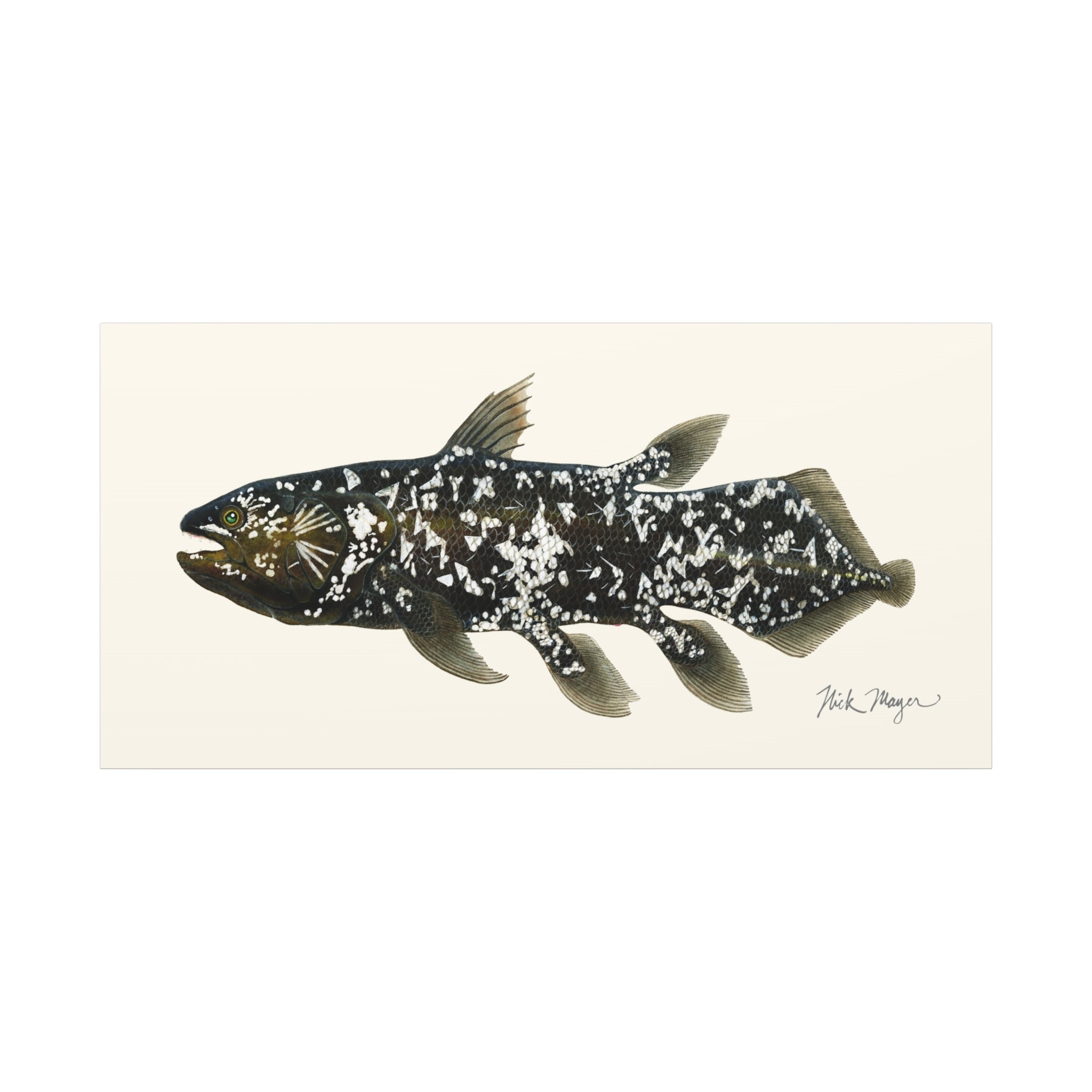 Coelacanth Canvas Print Printify