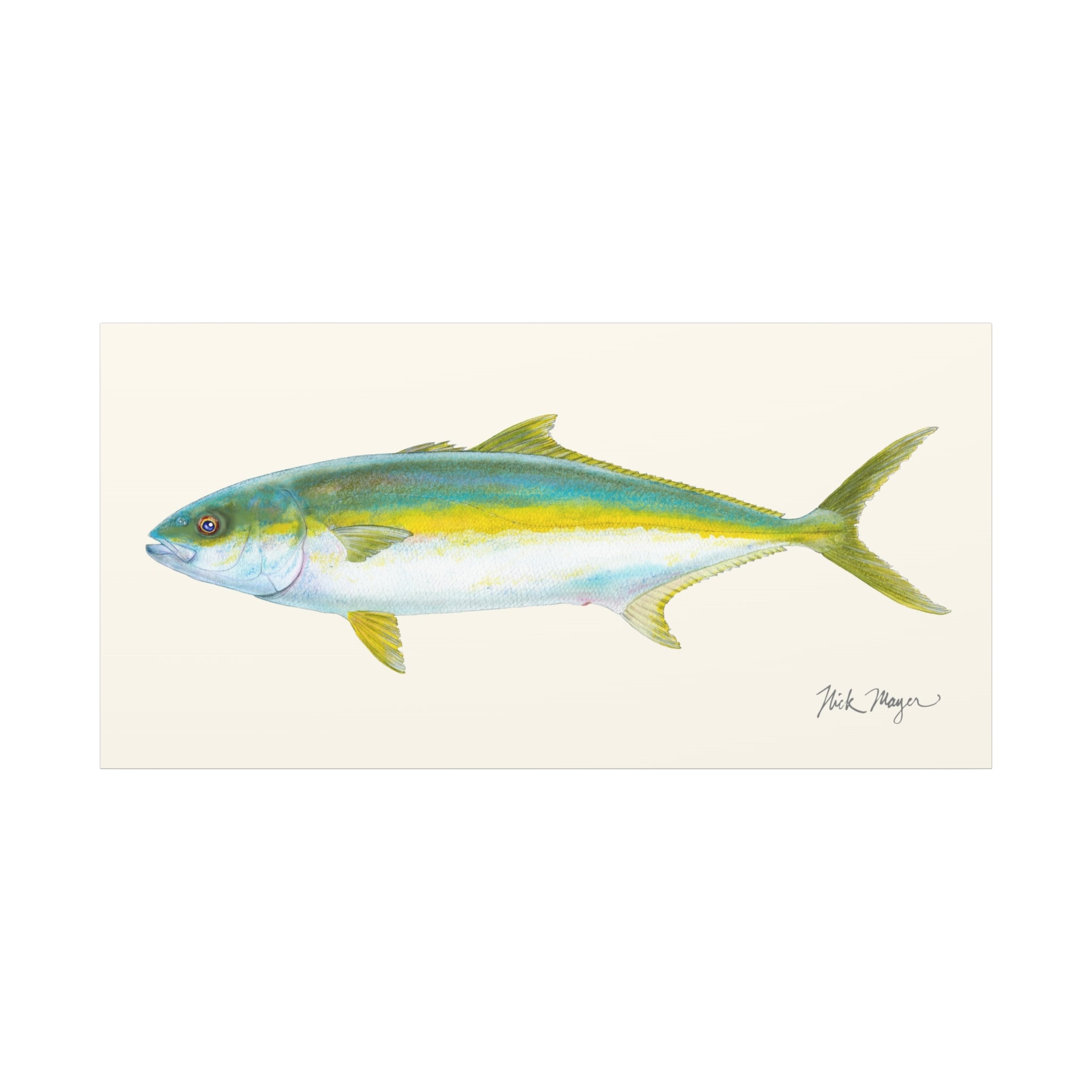 Yellowtail I Canvas Print