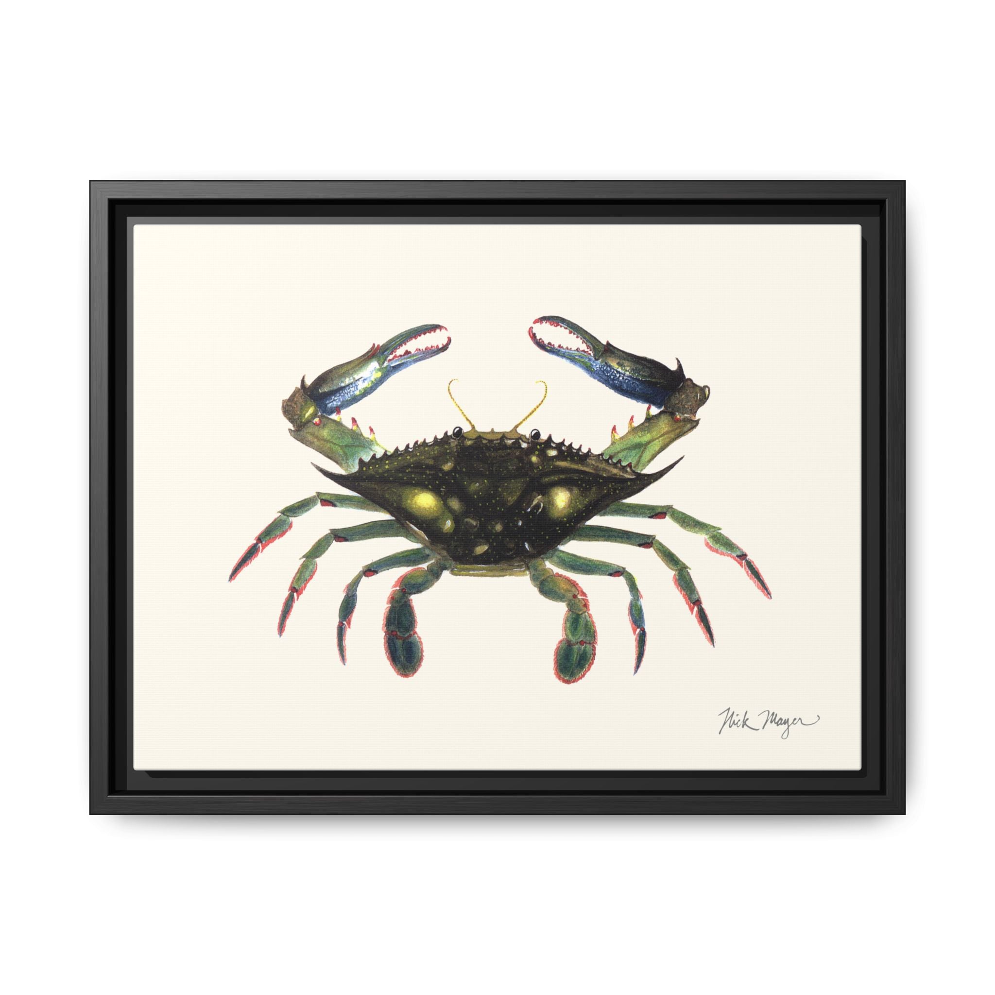 Blue Crab, Claws in Framed Canvas Print Printify