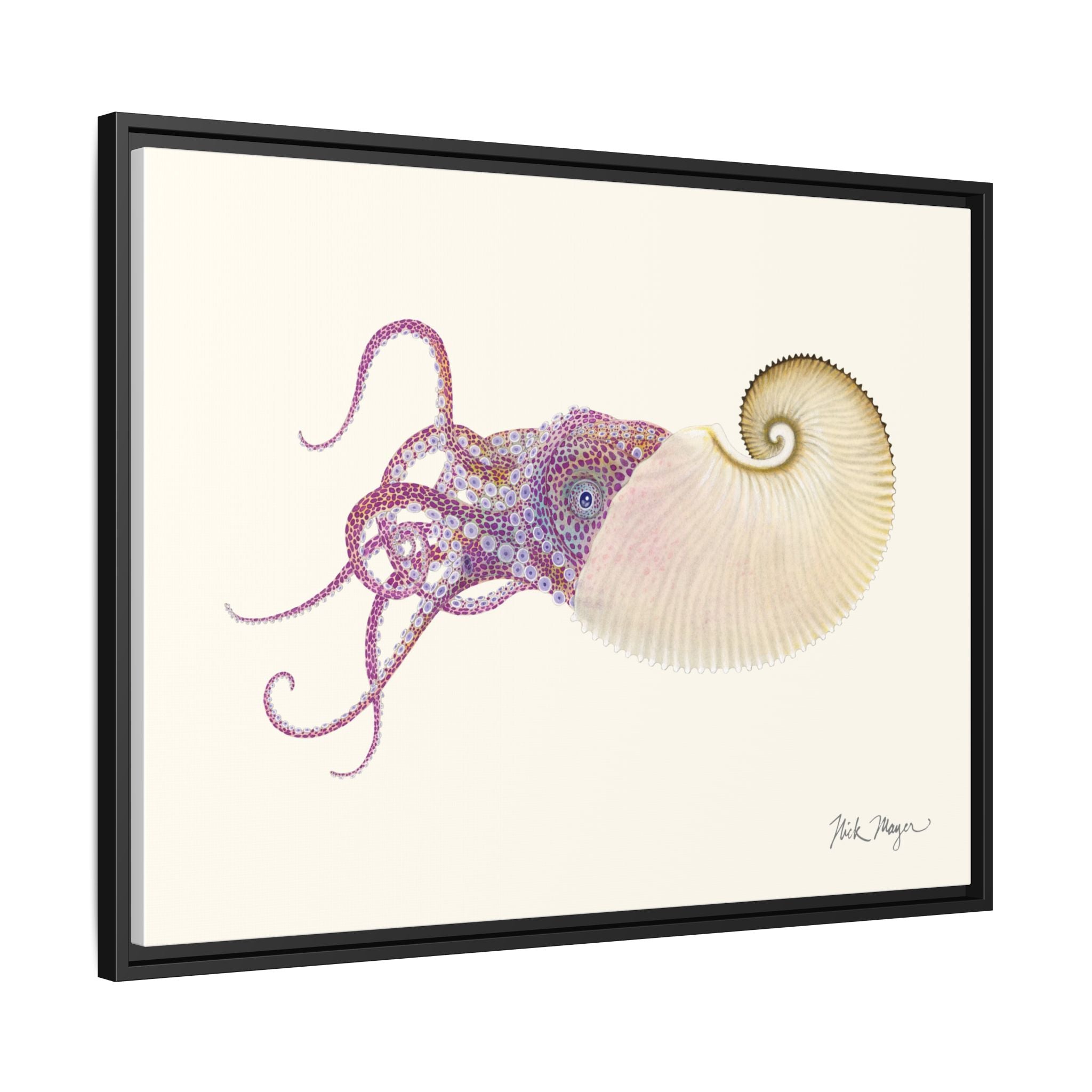 Paper Nautilus Framed Canvas Print Printify