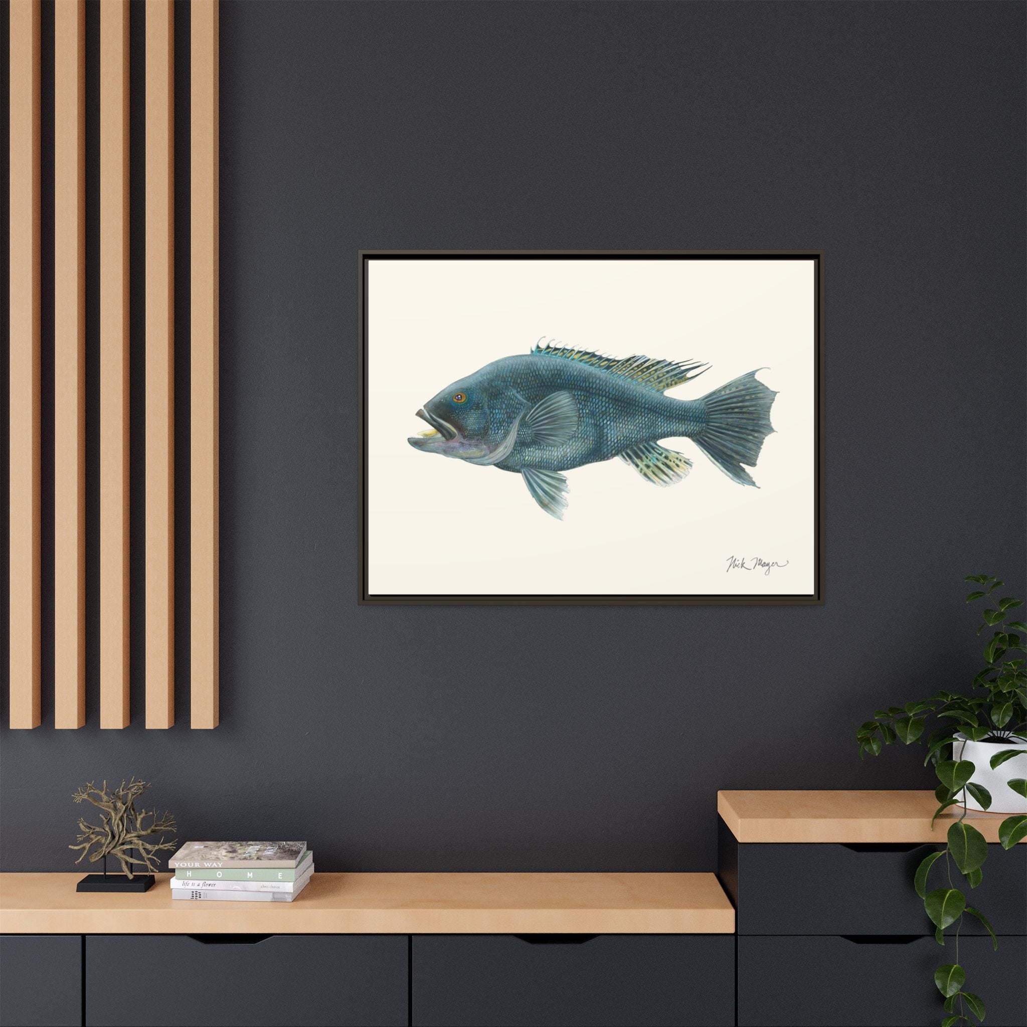 Black Sea Bass Framed Canvas Print Printify