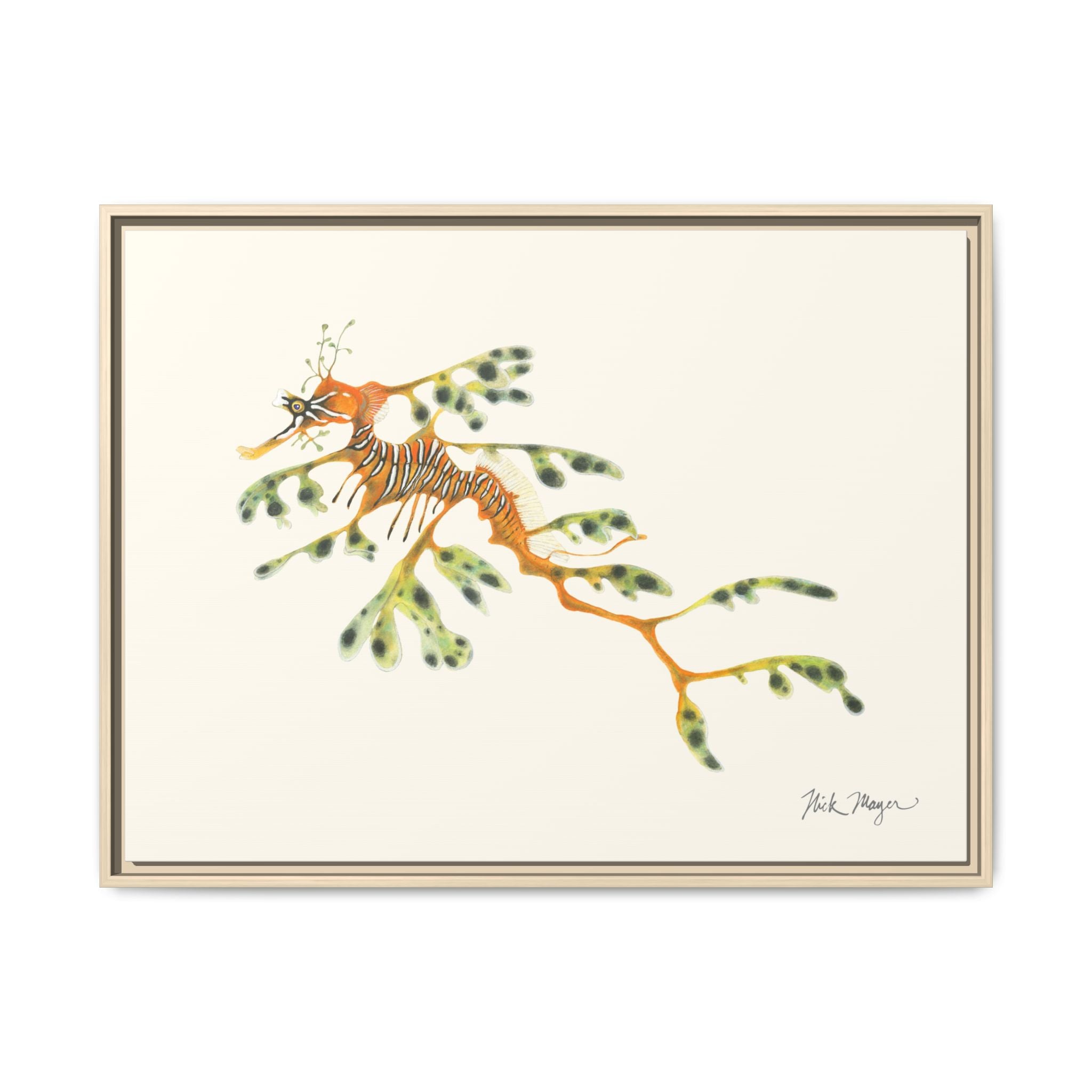 Leafy Sea Dragon Framed Canvas Print Printify