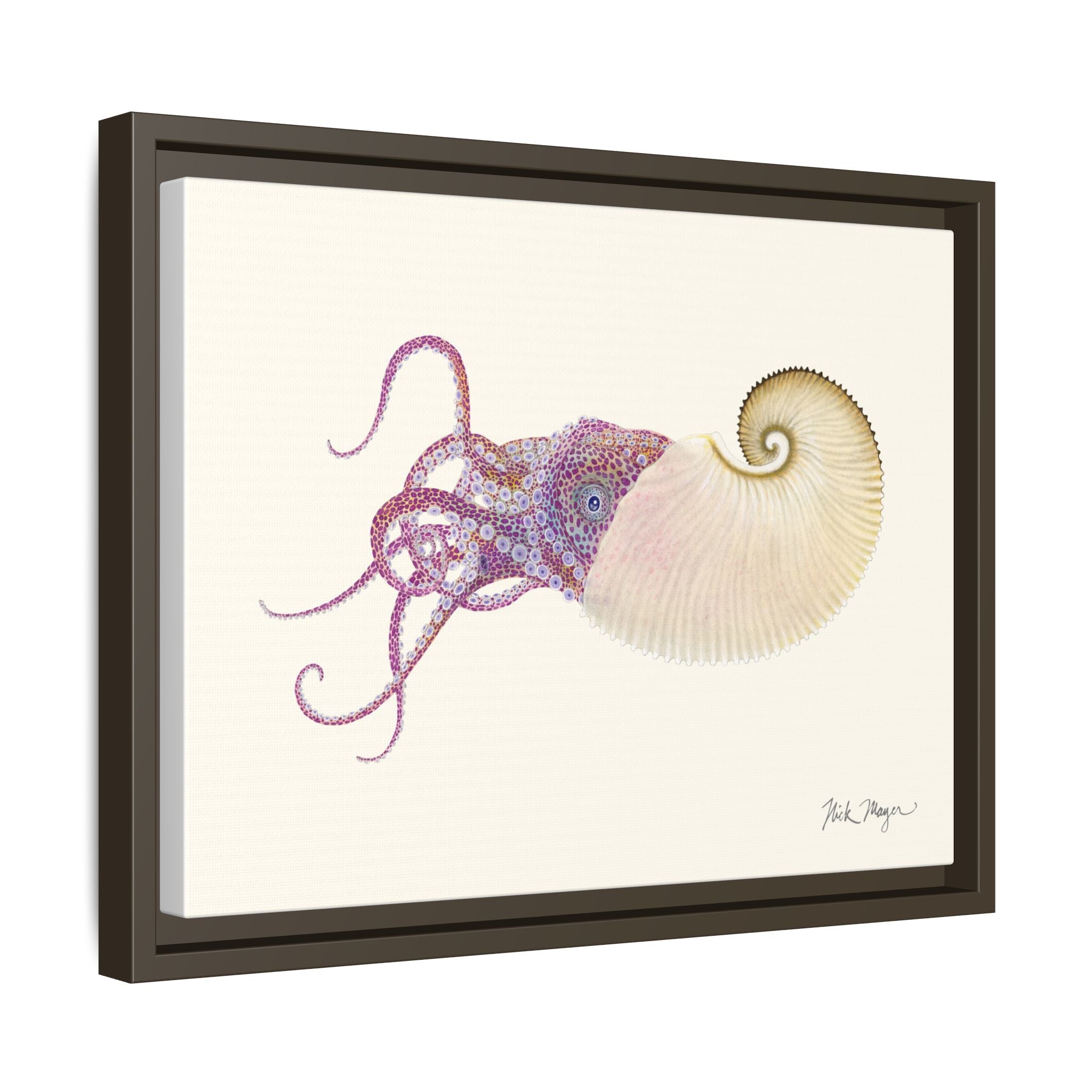 Paper Nautilus Framed Canvas Print Printify