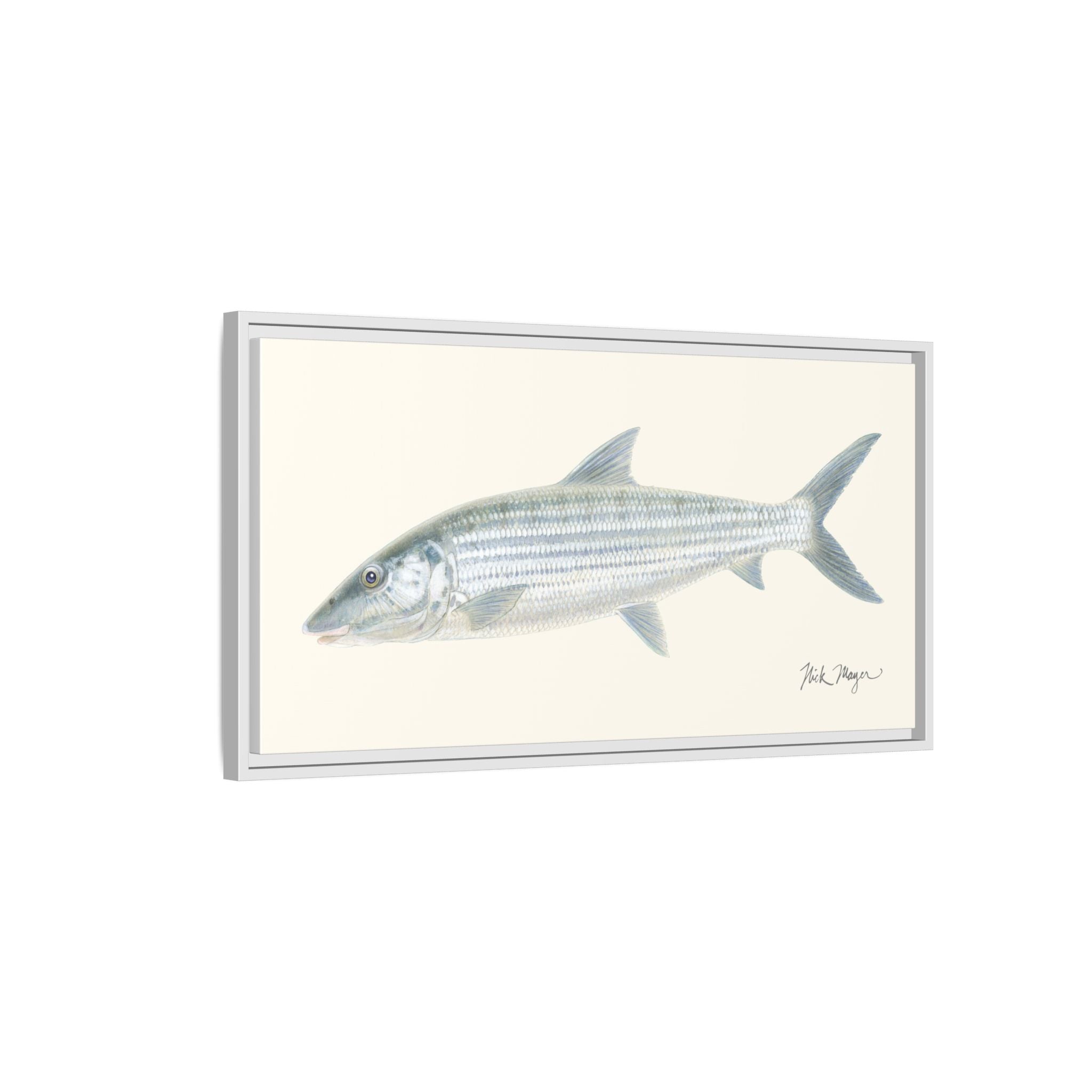 Bonefish Framed Canvas Print Printify