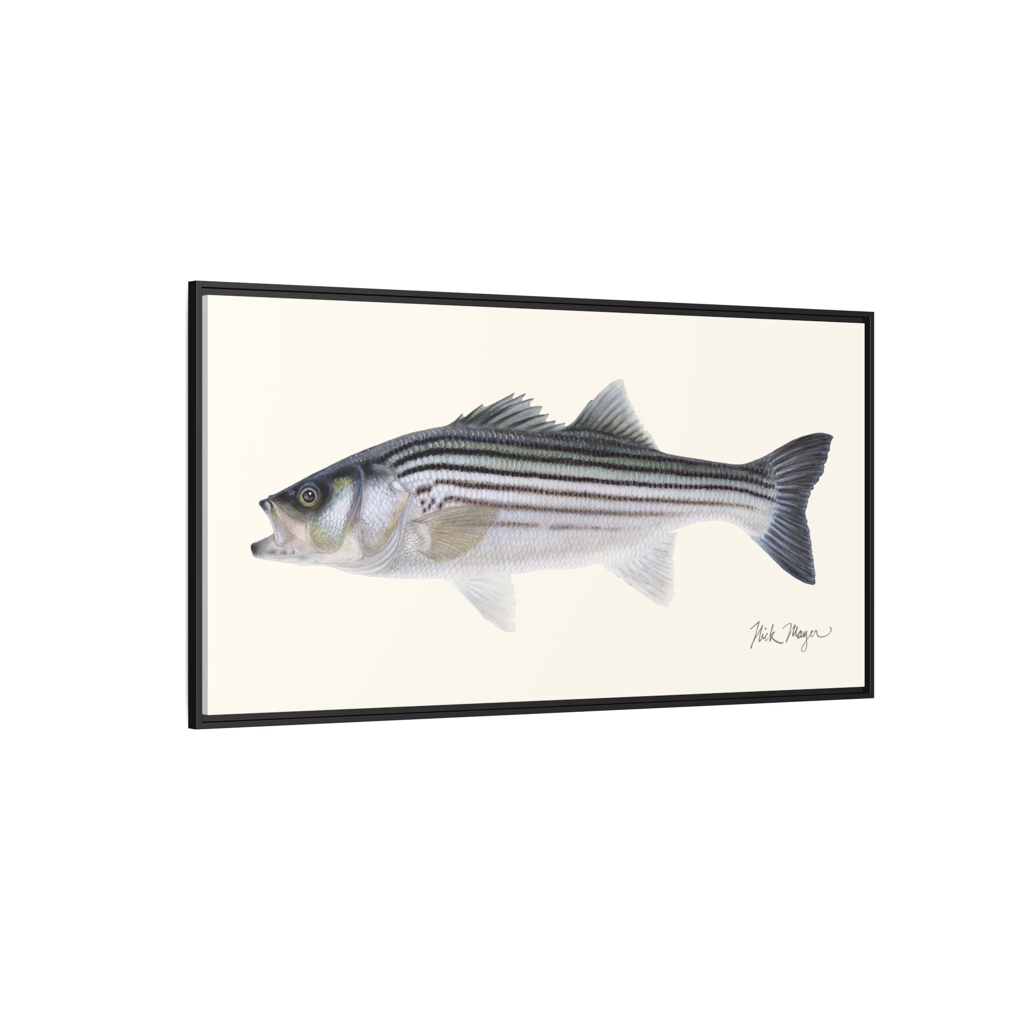 Schoolie Striped Bass Framed Canvas Print Printify