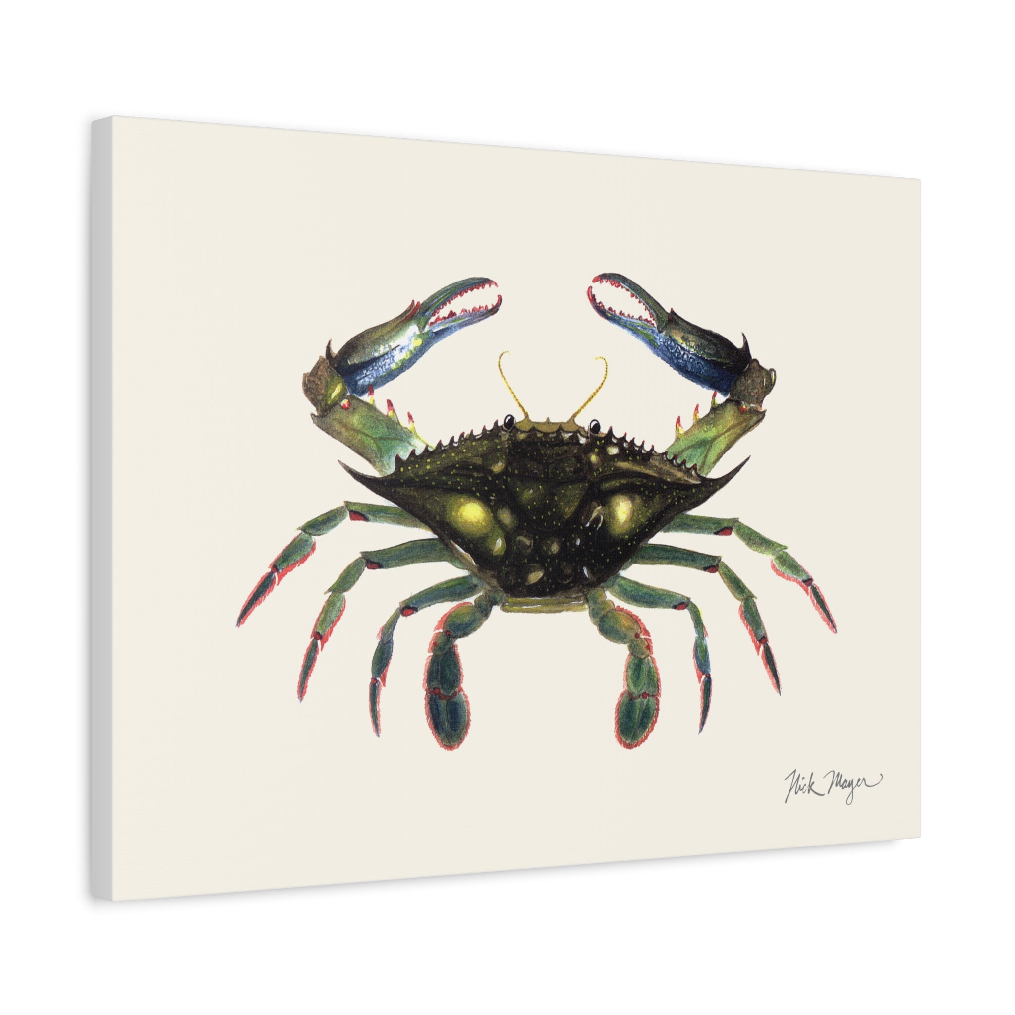 Blue Crab Claws In Canvas Print