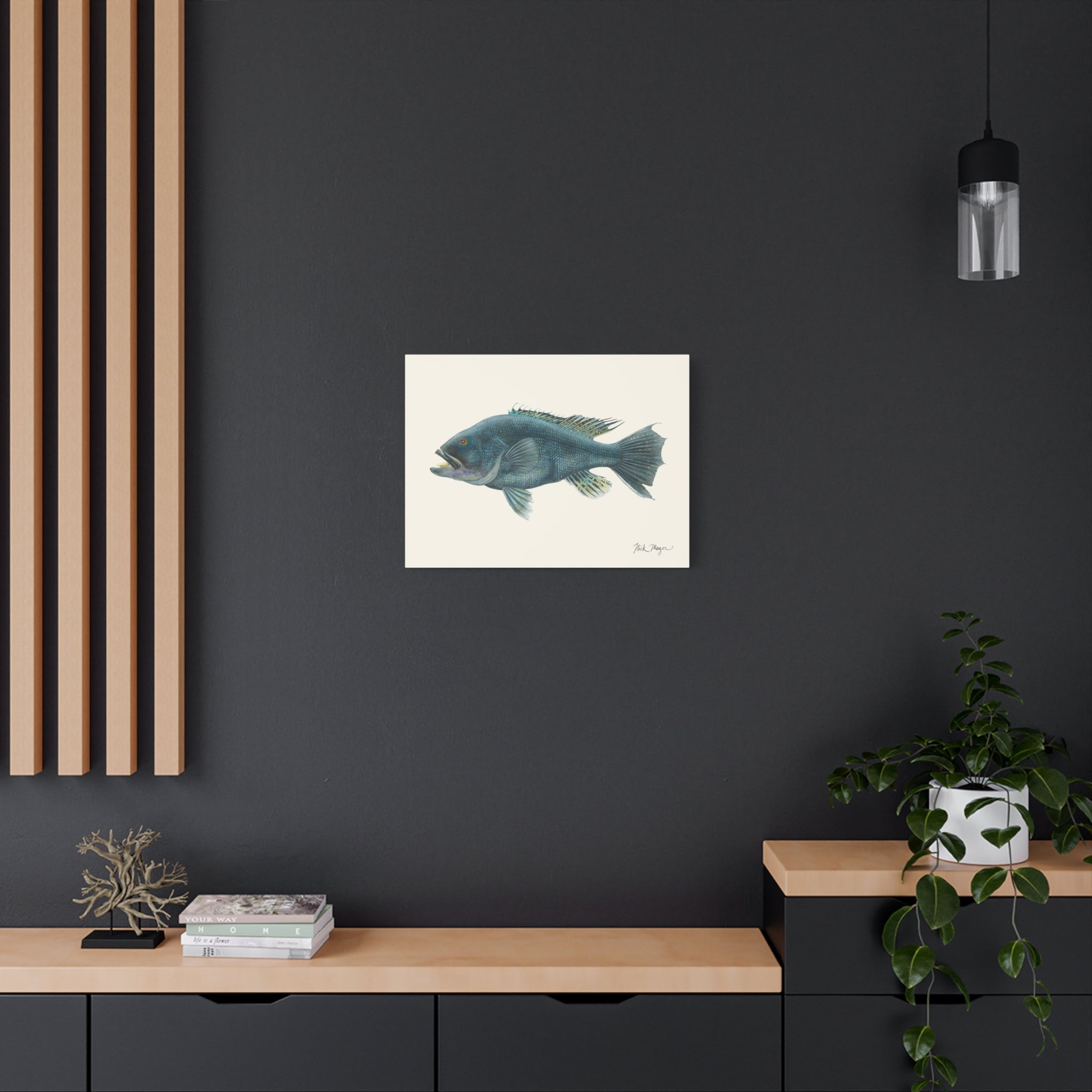 Black Sea Bass Canvas Print