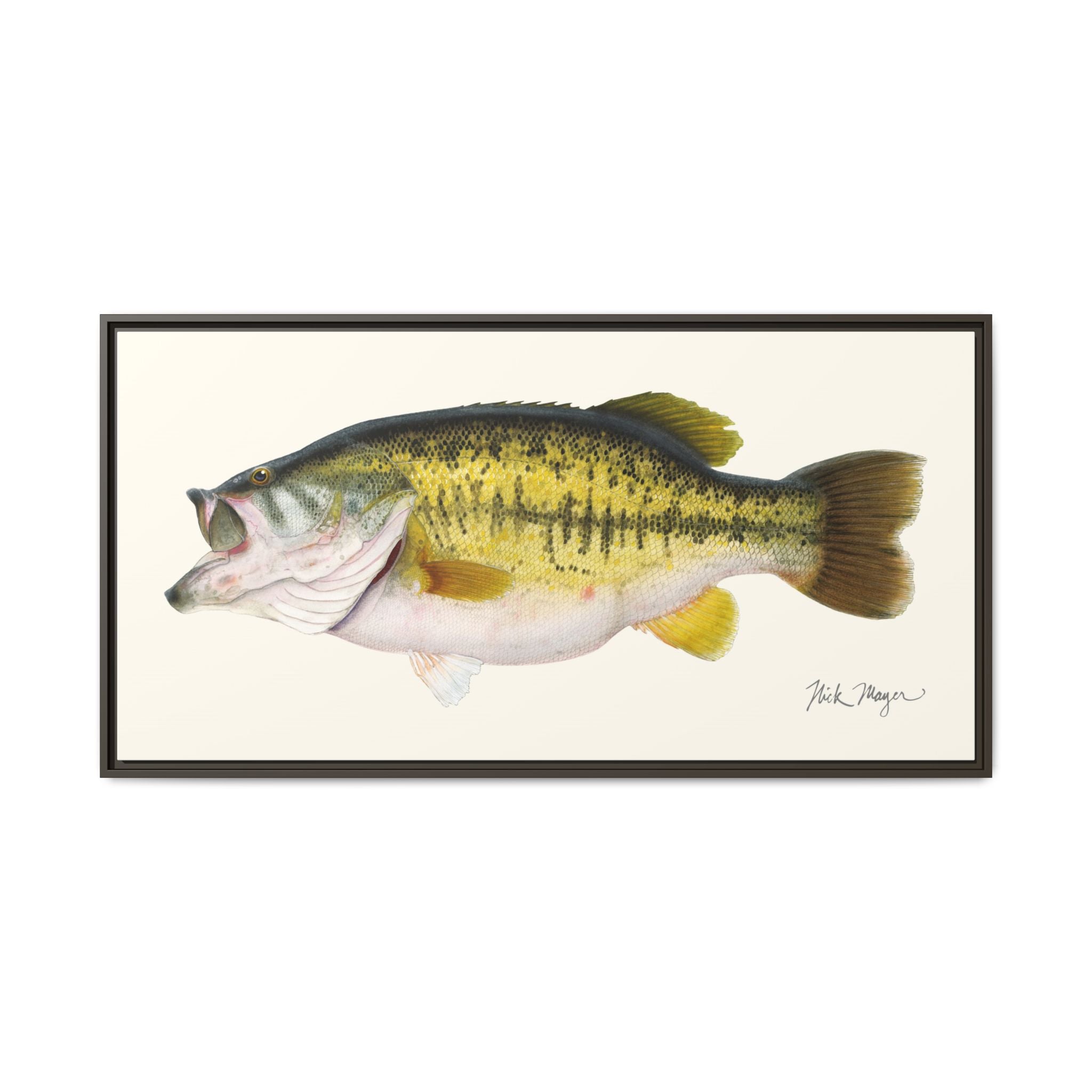 Largemouth Bass II Framed Canvas Print