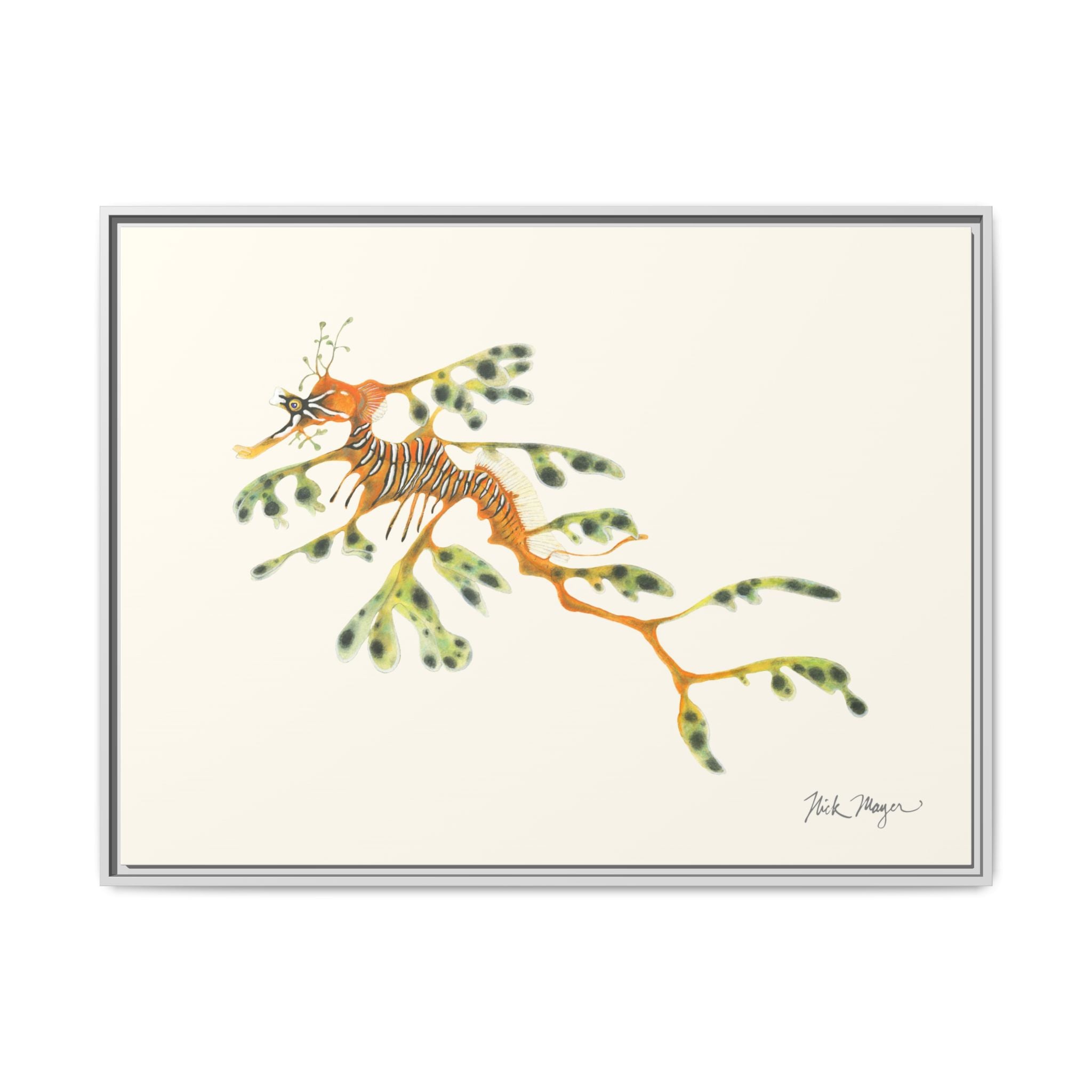 Leafy Sea Dragon Framed Canvas Print Printify