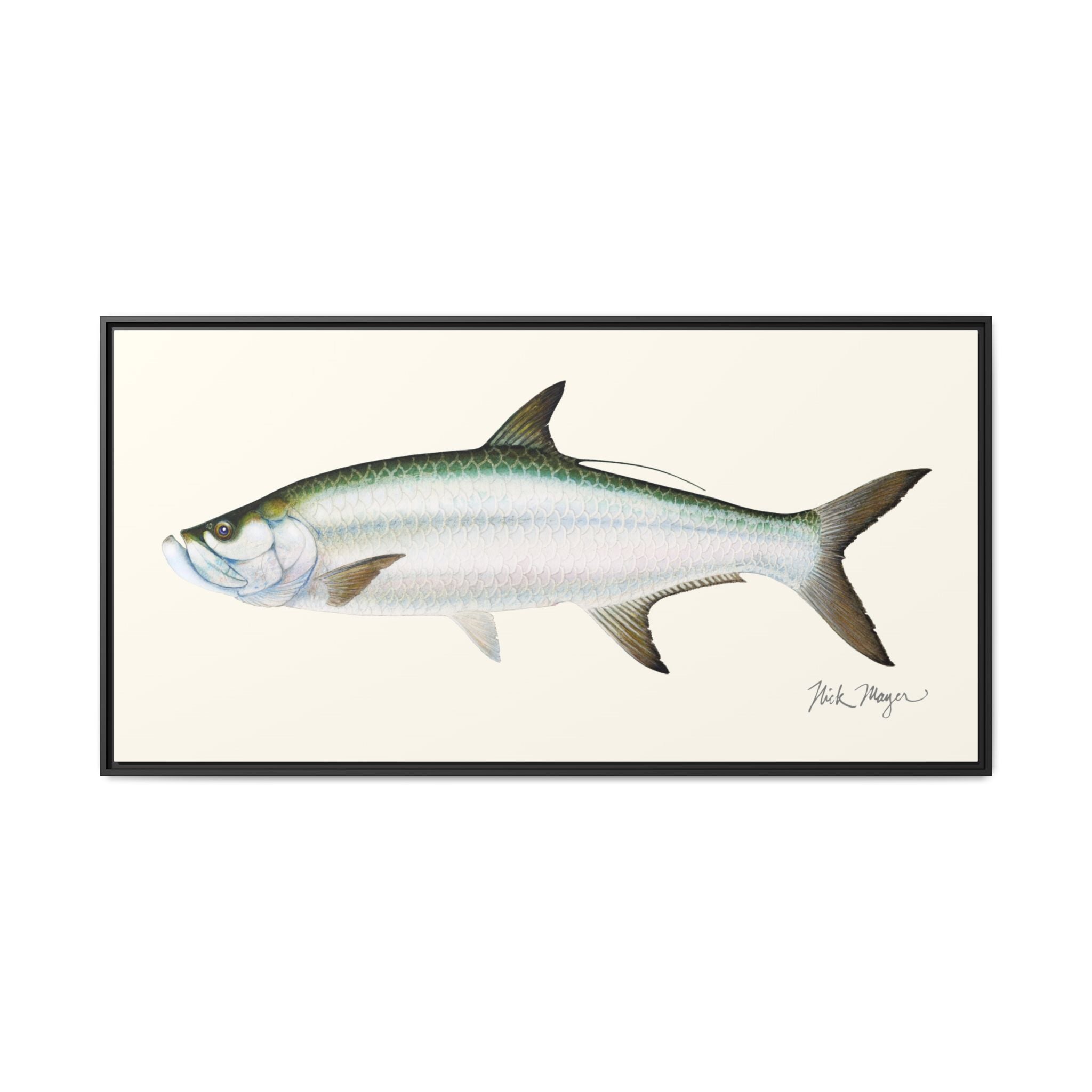 Tarpon Framed Canvas Print Printify