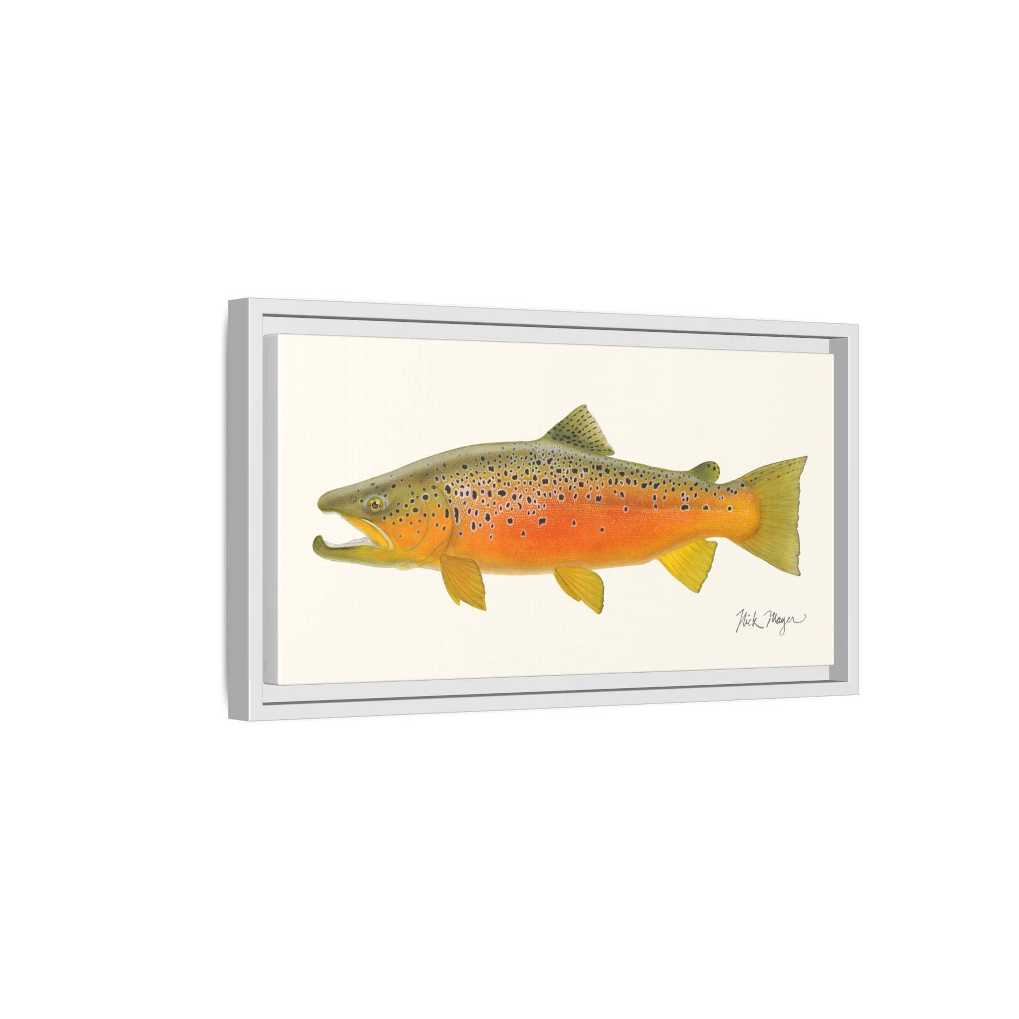 Brown Trout II Framed Canvas Print Printify