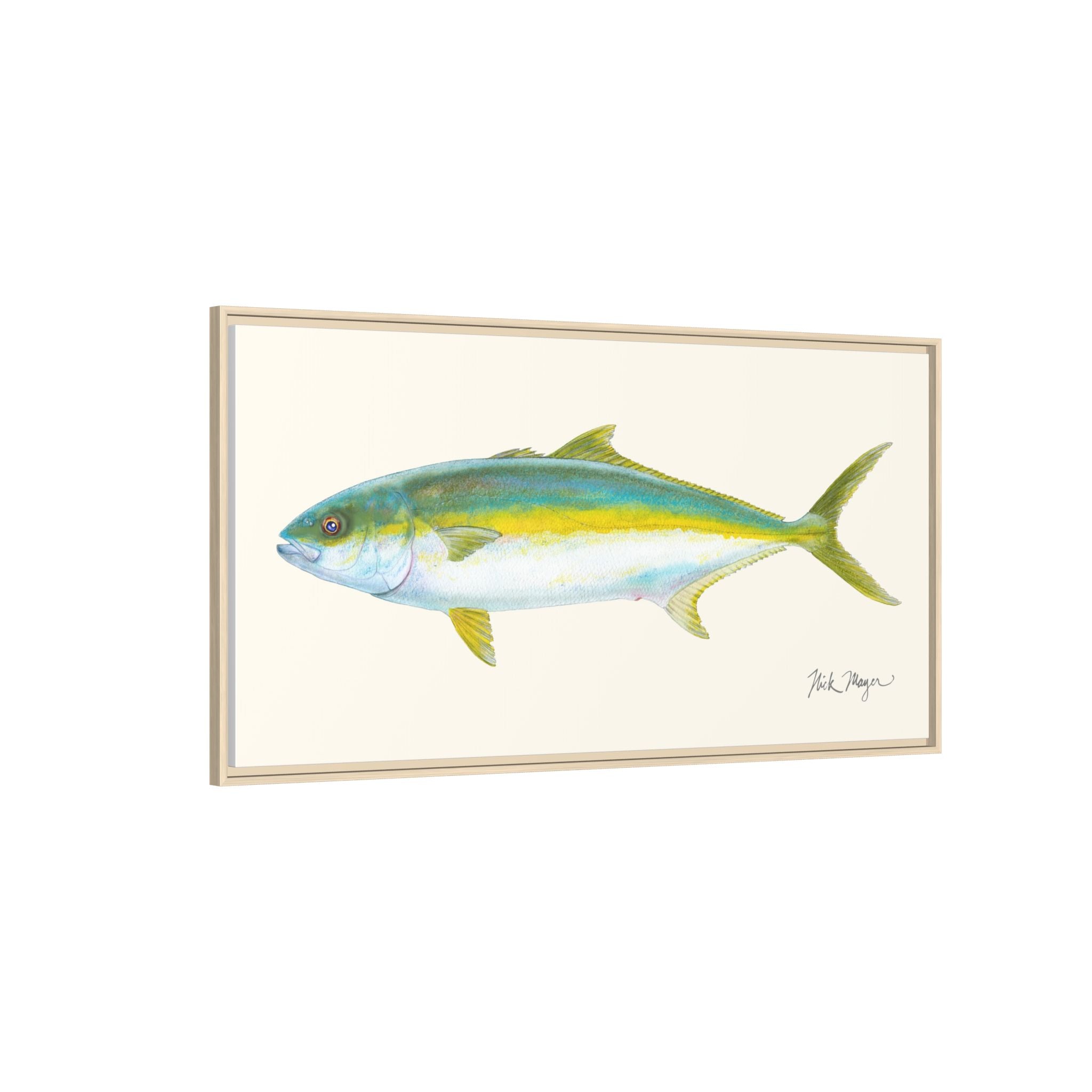 California Yellowtail I Framed Canvas Print Printify