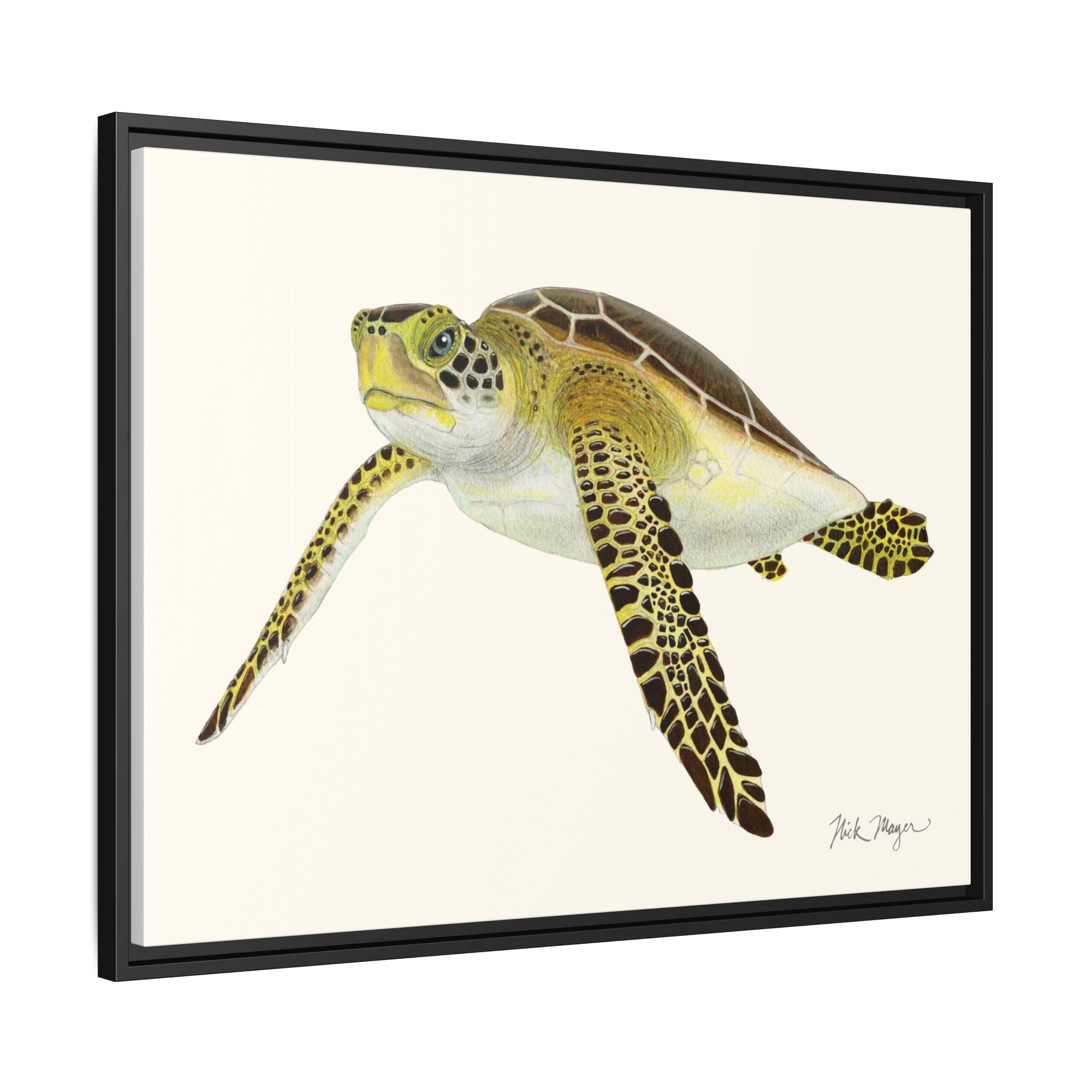 Green Sea Turtle III Framed Canvas Print Printify