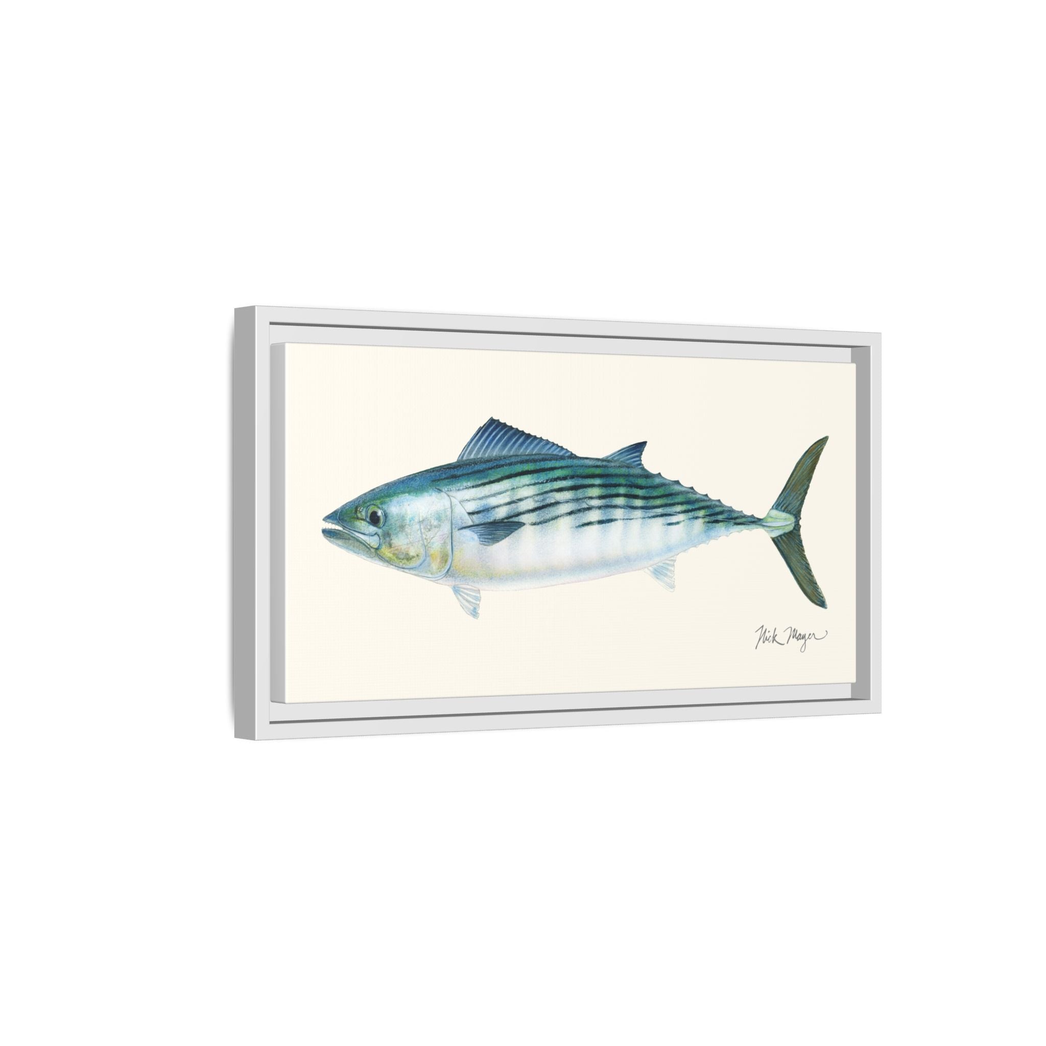 Bonito Framed Canvas Print Printify