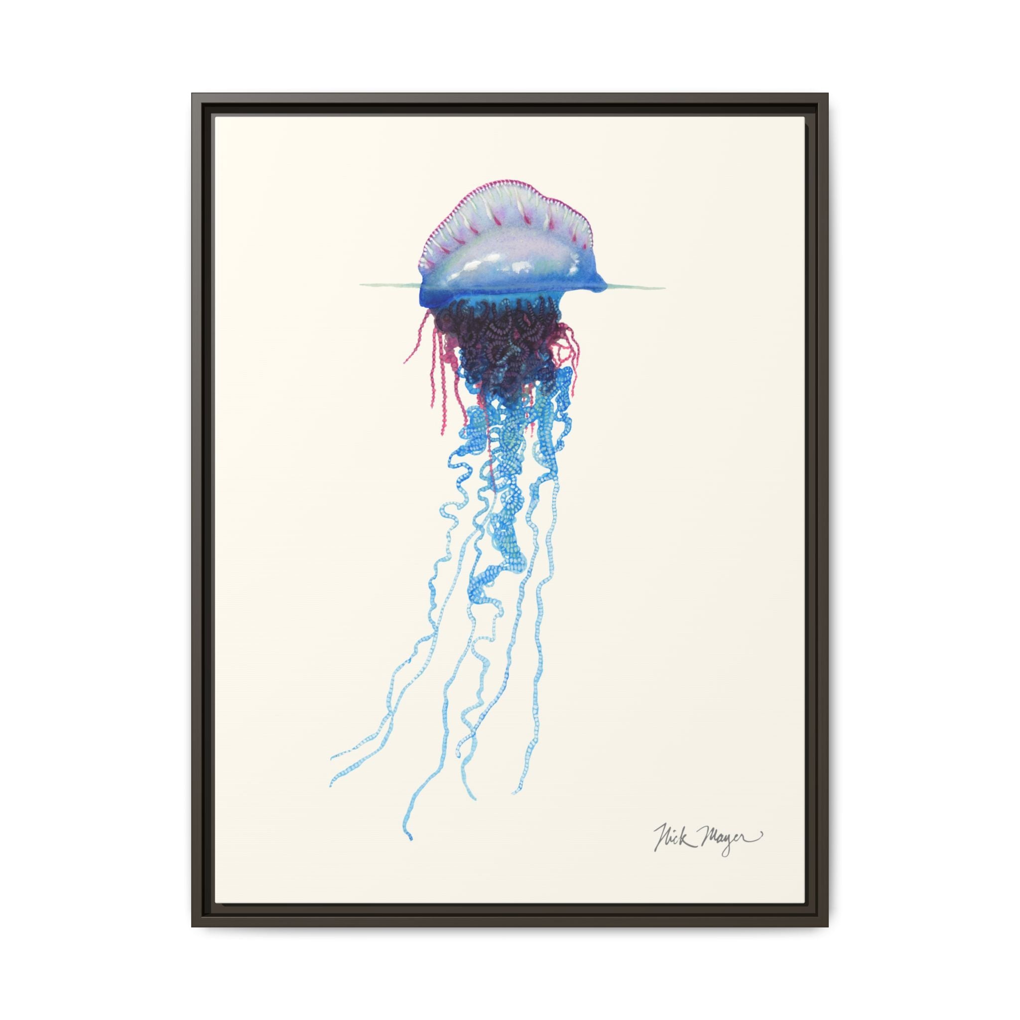 Portuguese Man O' War Framed Canvas Print Printify