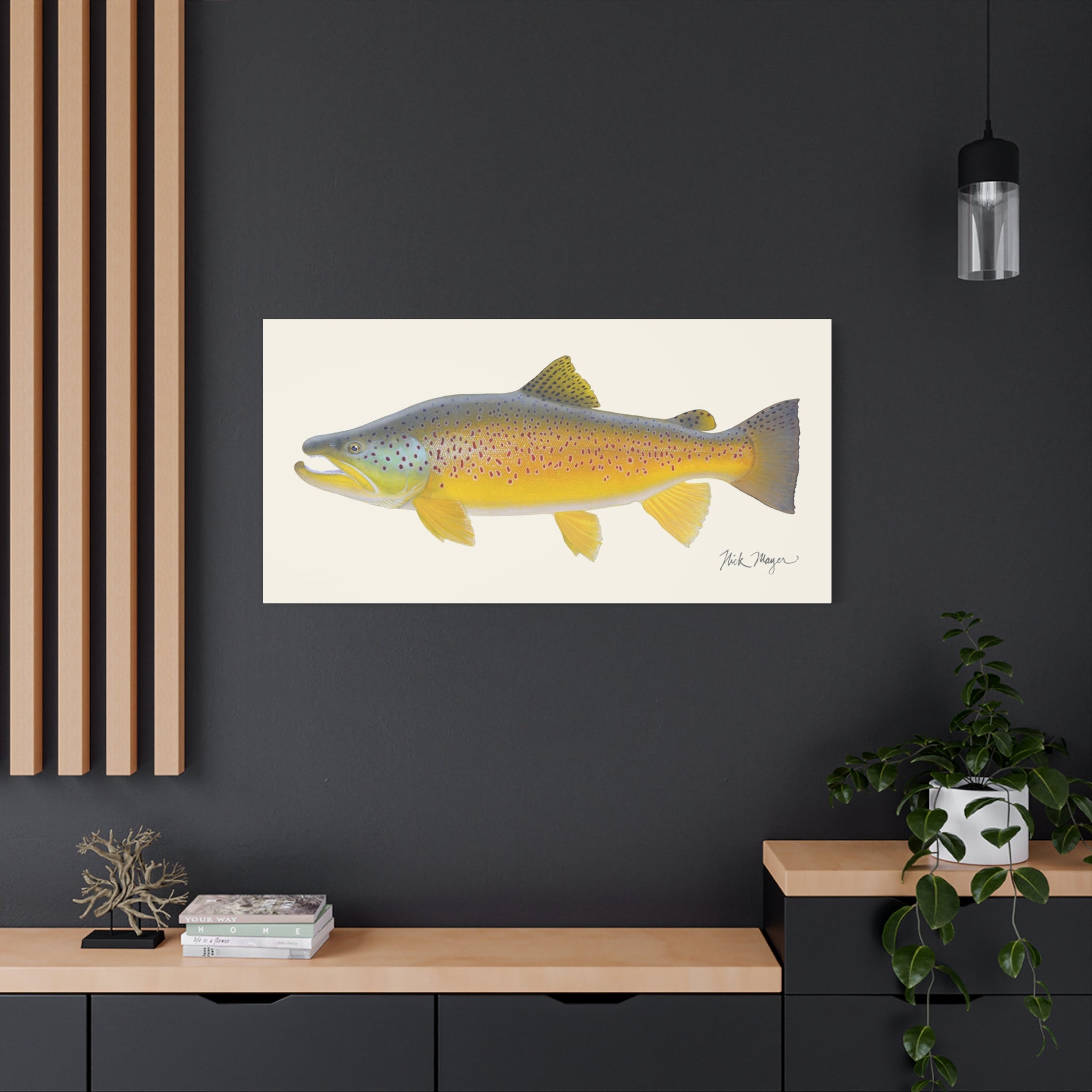 Brown Trout III Canvas Print, New!
