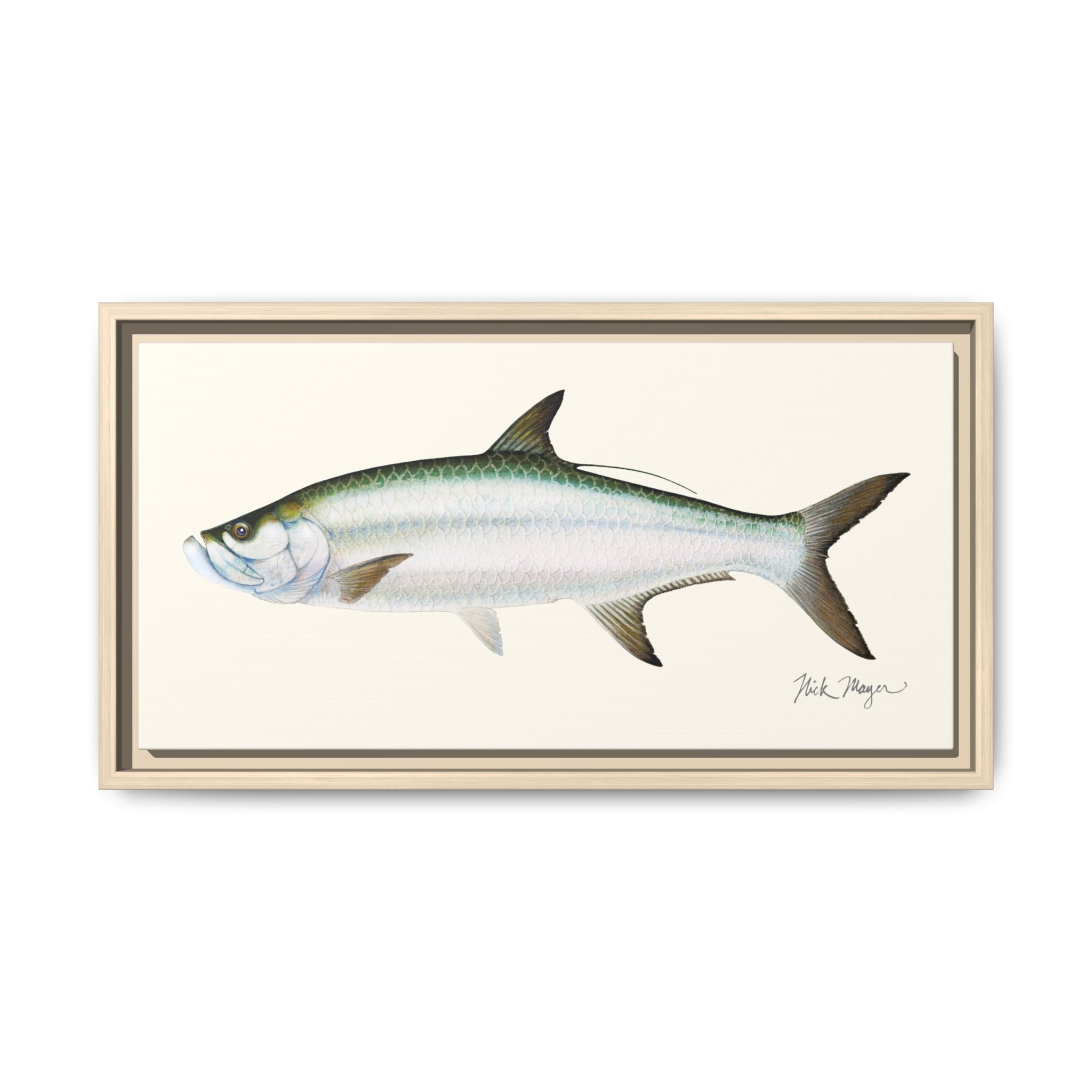Tarpon Framed Canvas Print Printify