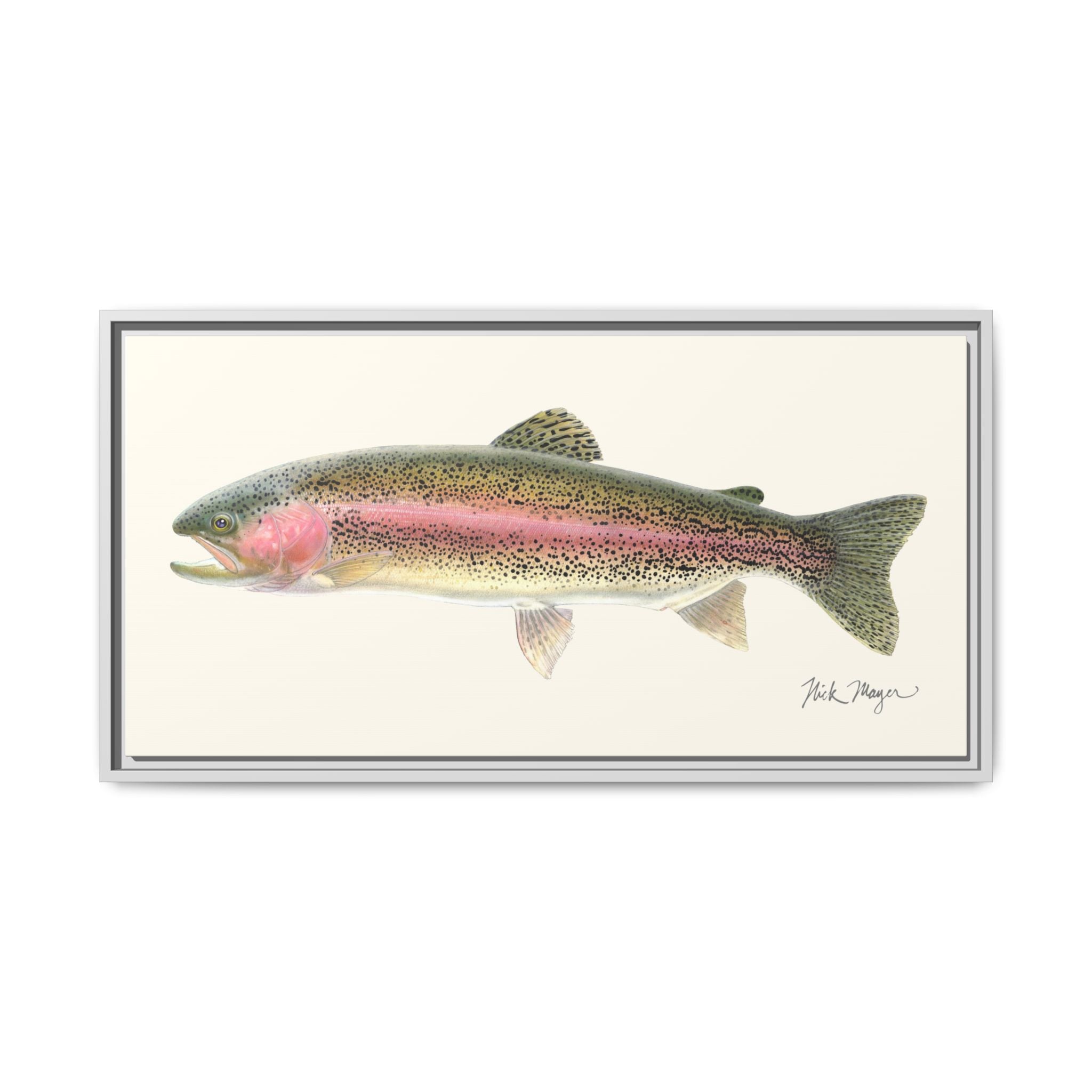 Rainbow Trout Framed Canvas Print Printify