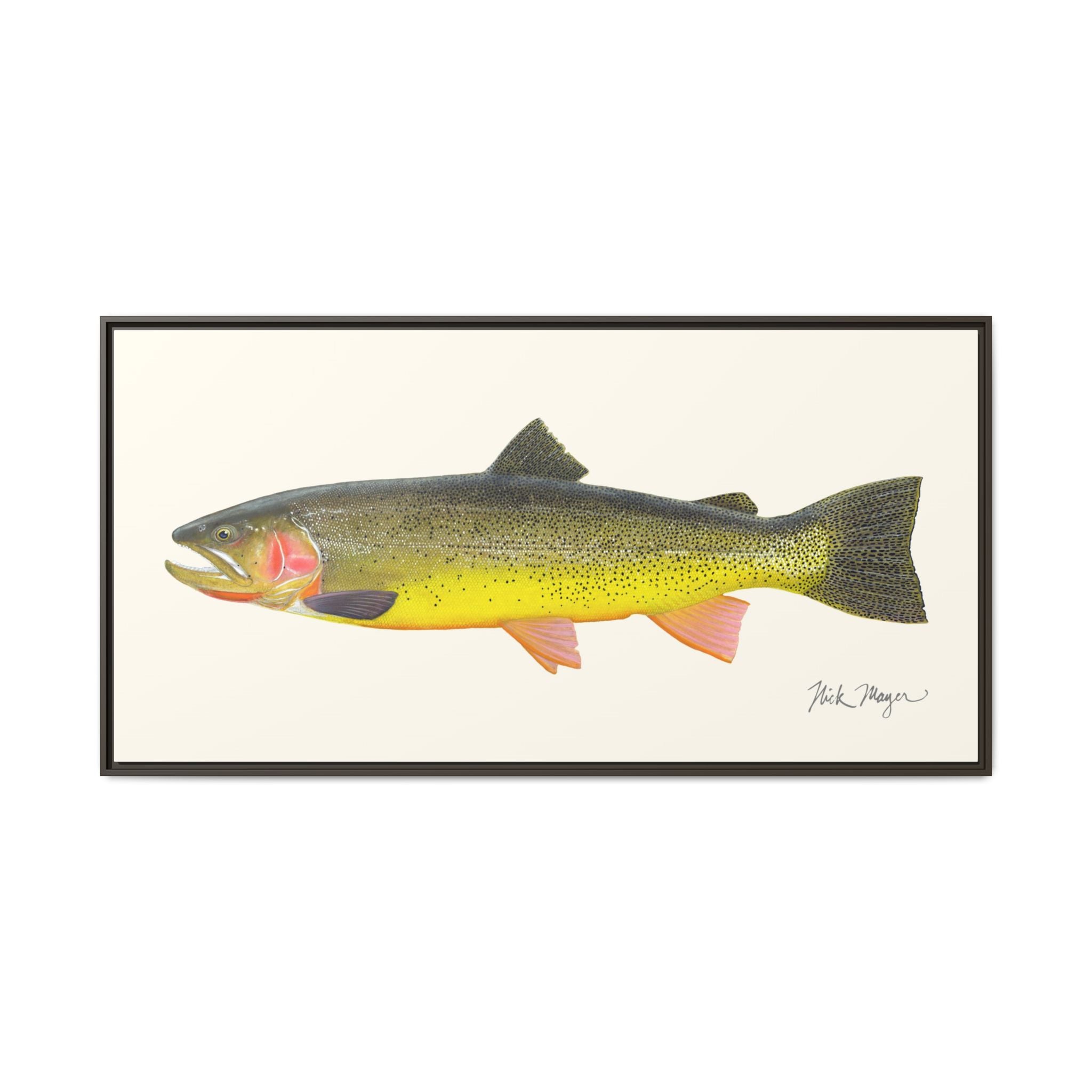 Cutthroat Trout III Framed Canvas Print Printify