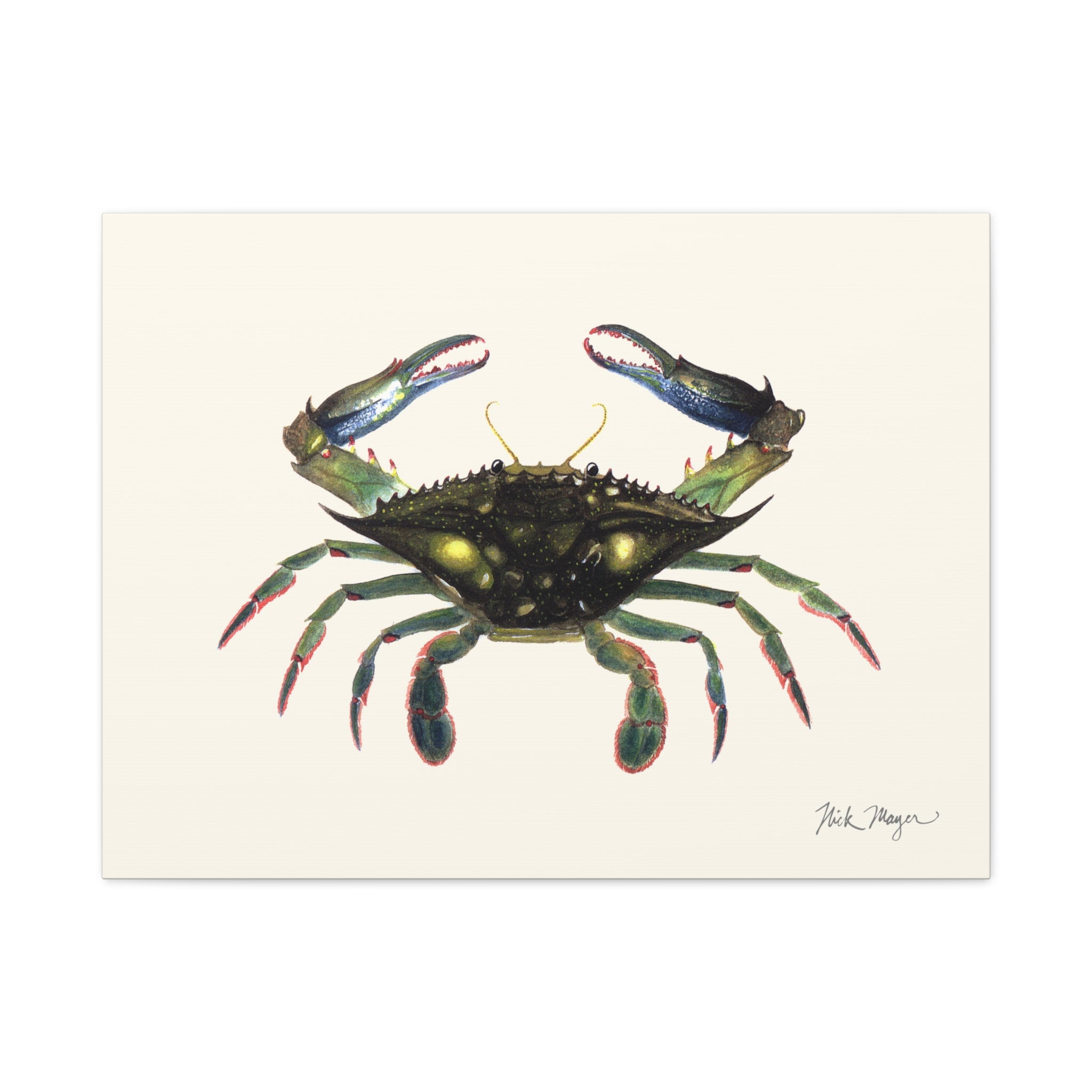 Blue Crab Claws In Canvas Print