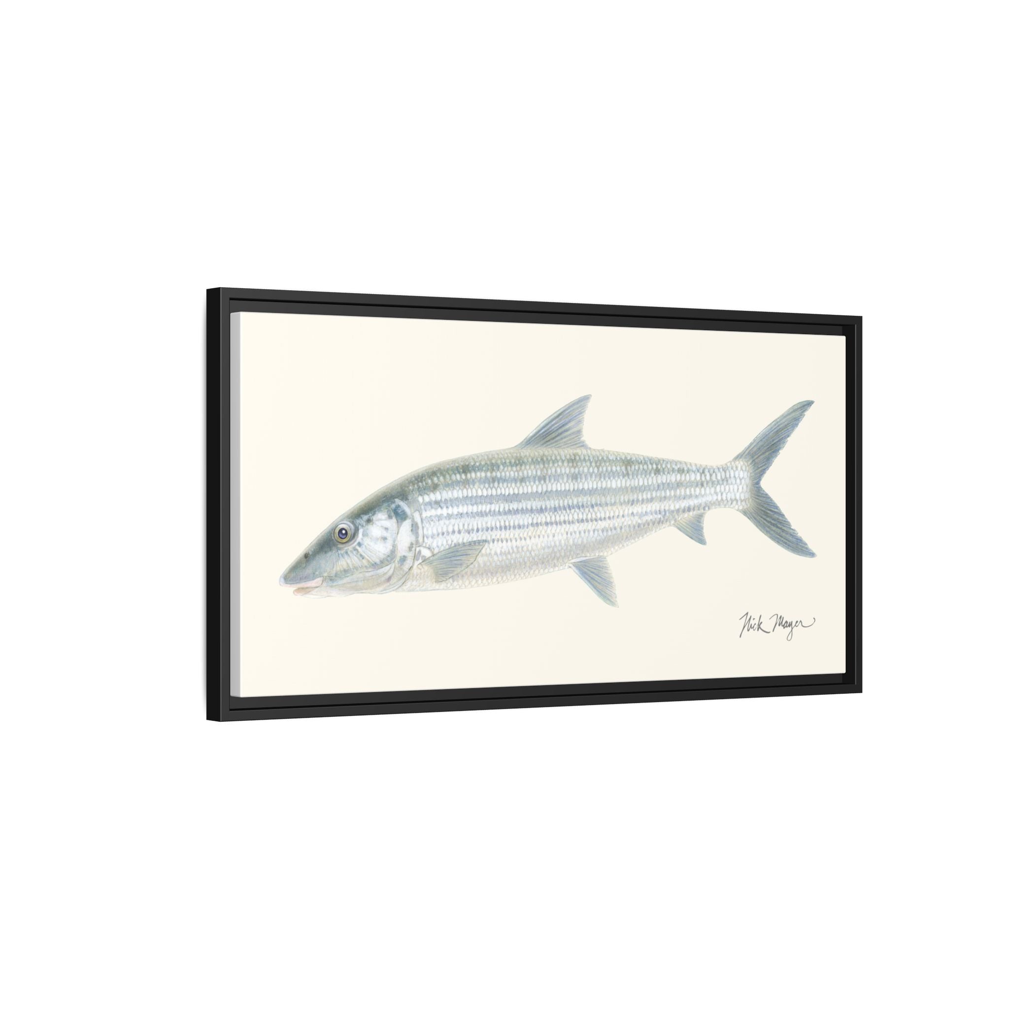 Bonefish Framed Canvas Print Printify