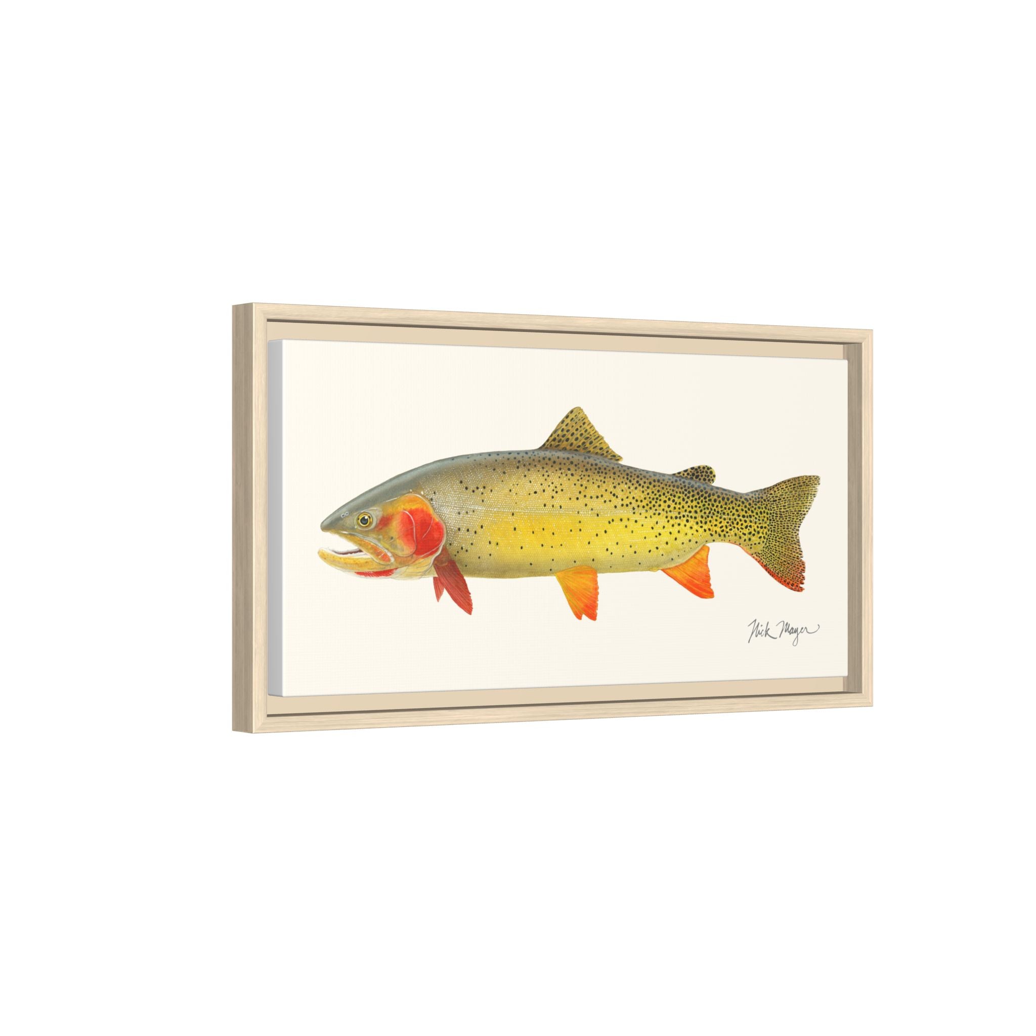 Cutthroat Trout I Framed Canvas Print Printify